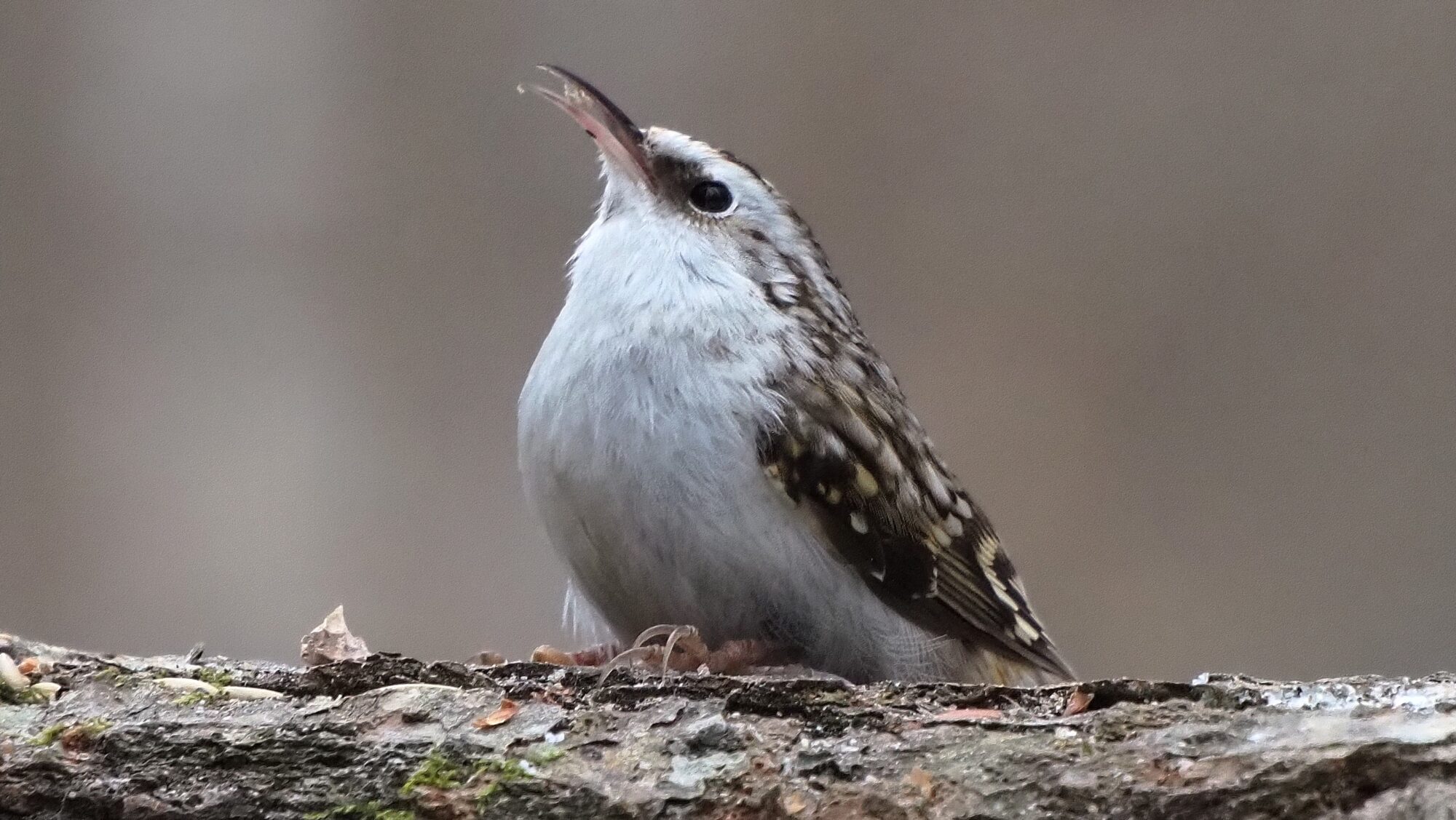 Valokuvaaja: Arja Valtonen