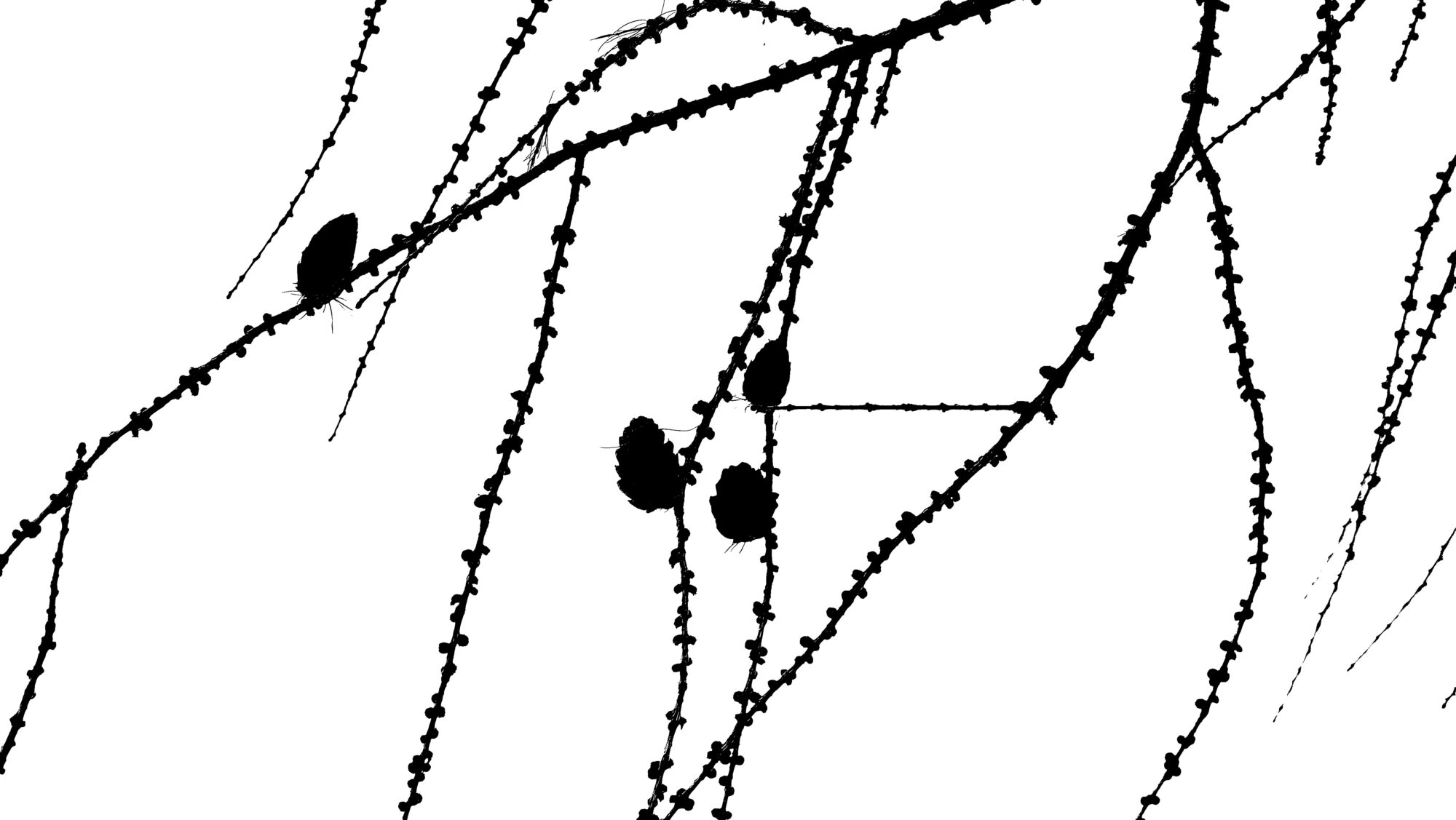 Valokuvaaja: Arja Valtonen