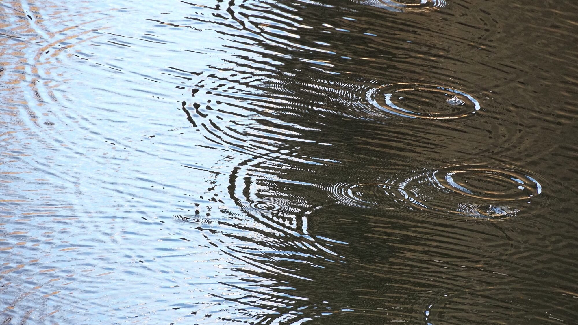 Valokuvaaja: Arja Valtonen