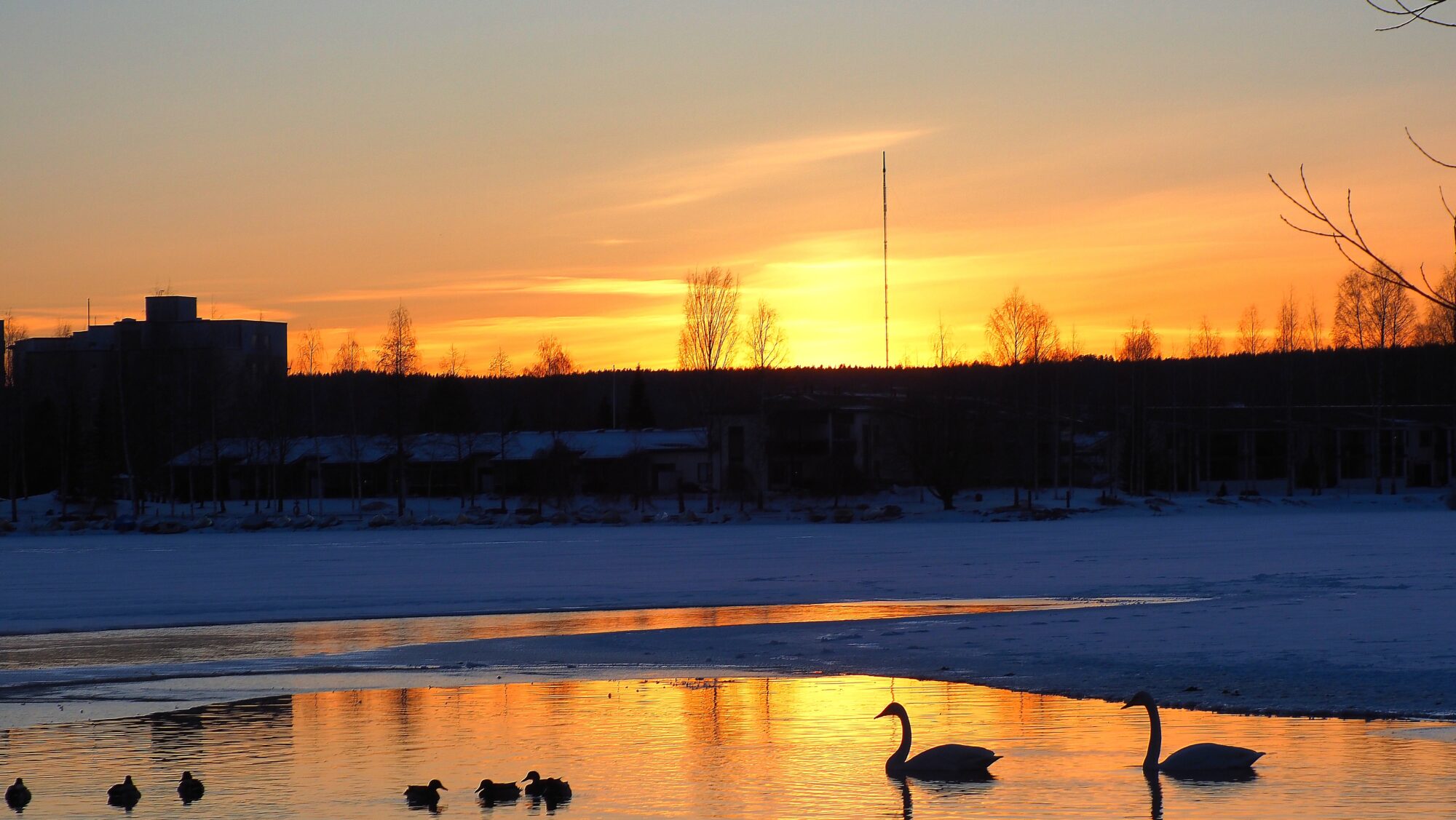 Valokuvaaja: Arja Valtonen Valokuvaaja: Arja Valtonen