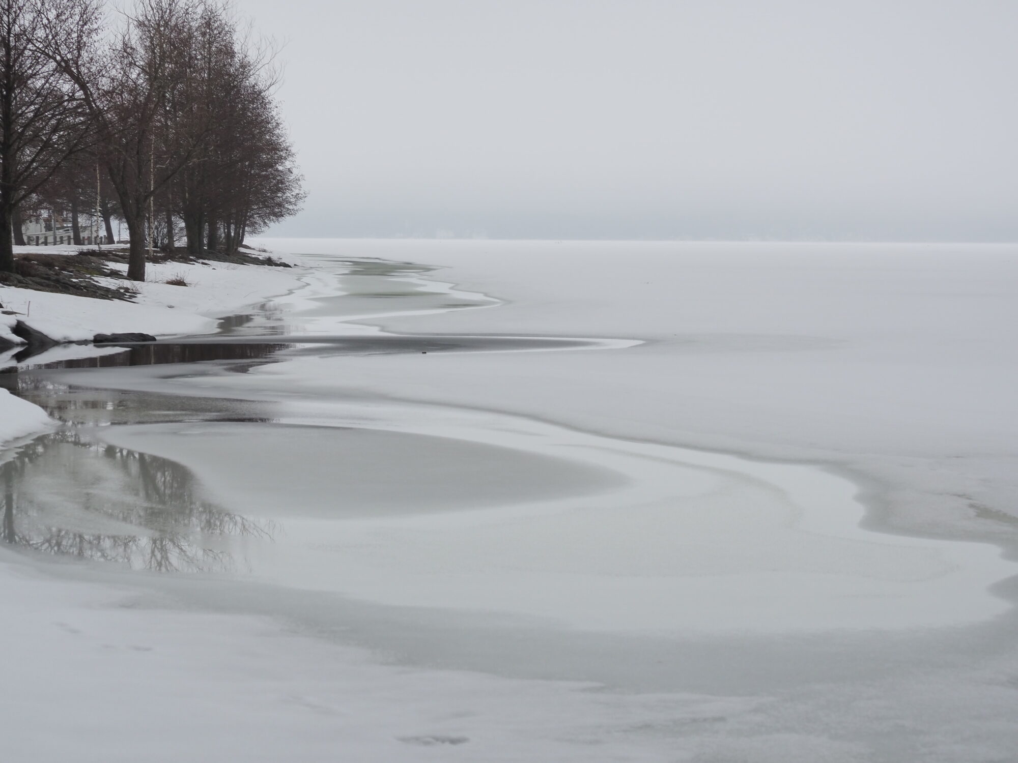 Valokuvaaja: Martti Valtonen