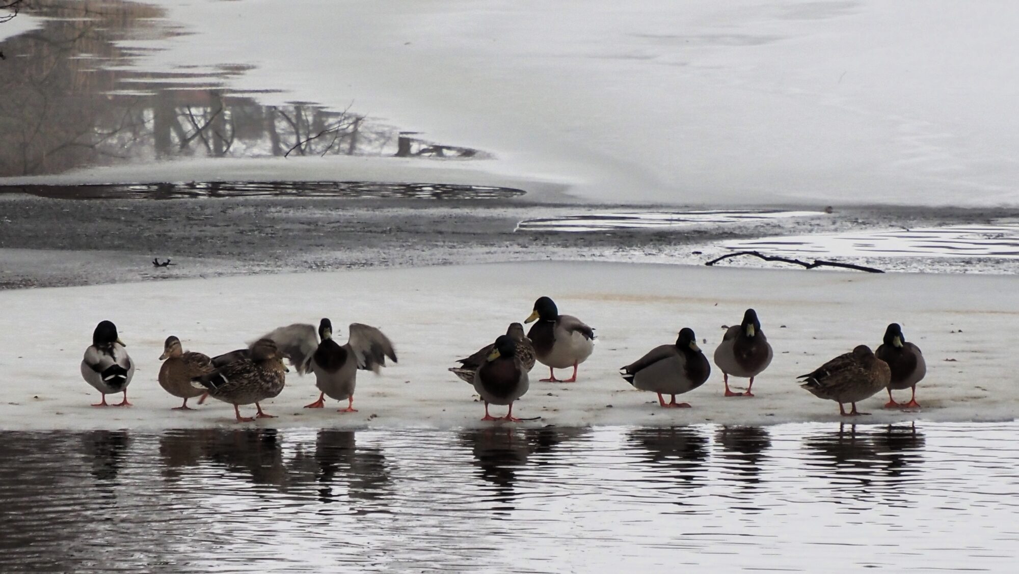 Valokuvaaja: Arja Valtonen Valokuvaaja: Arja Valtonen