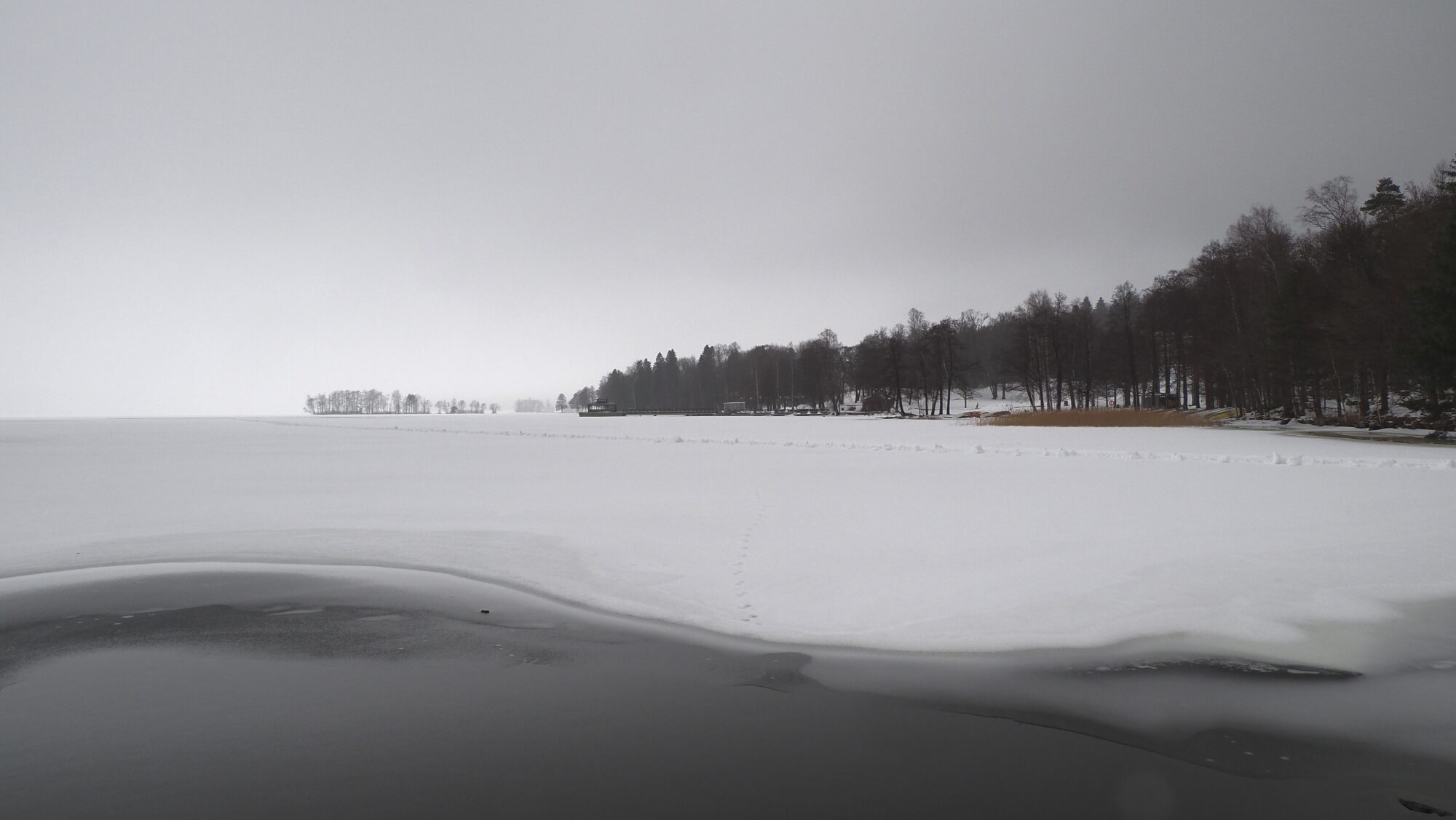 Valokuvaaja: Arja Valtonen Valokuvaaja: Arja Valtonen