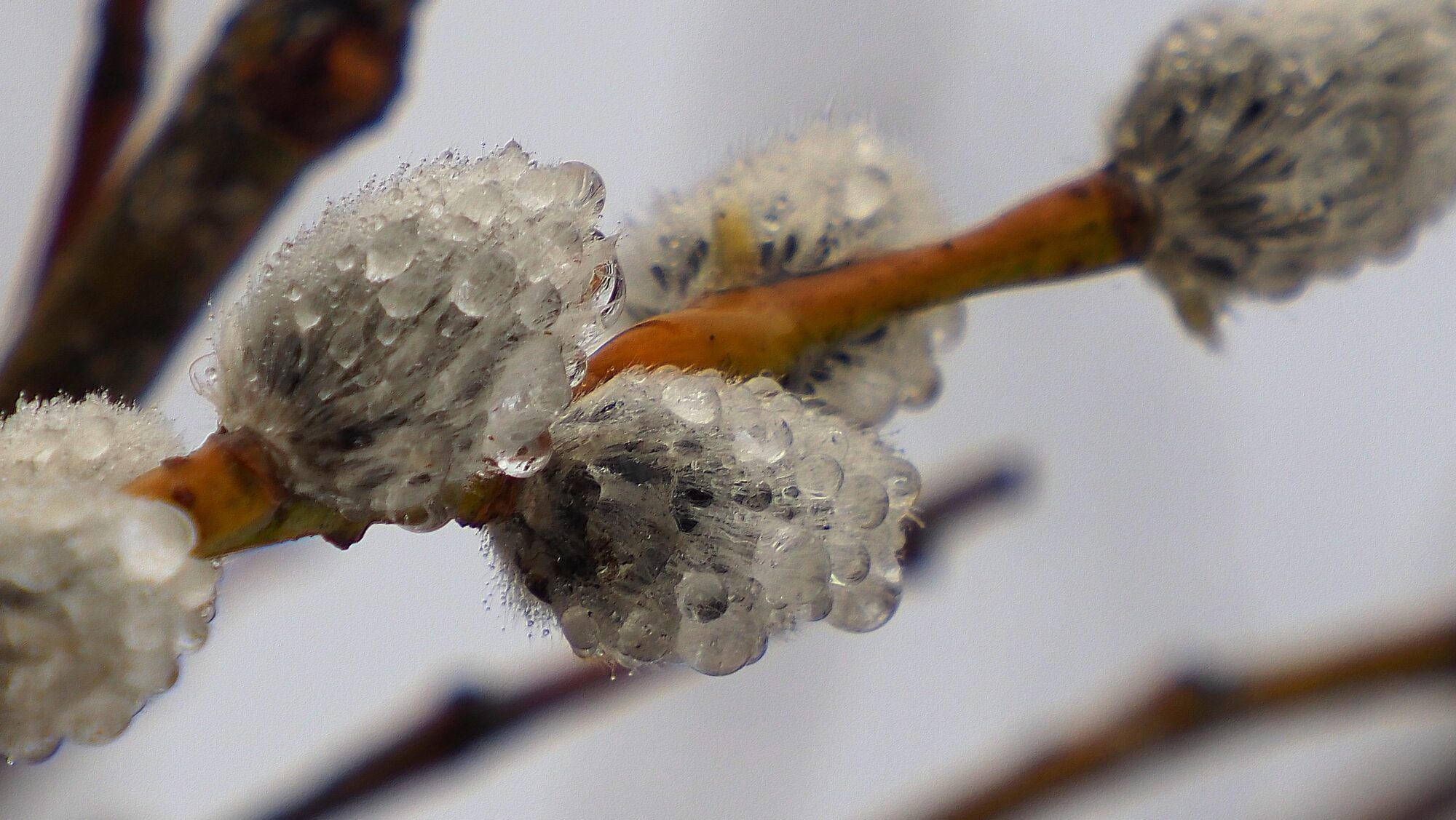 Valokuvaaja: Arja Valtonen