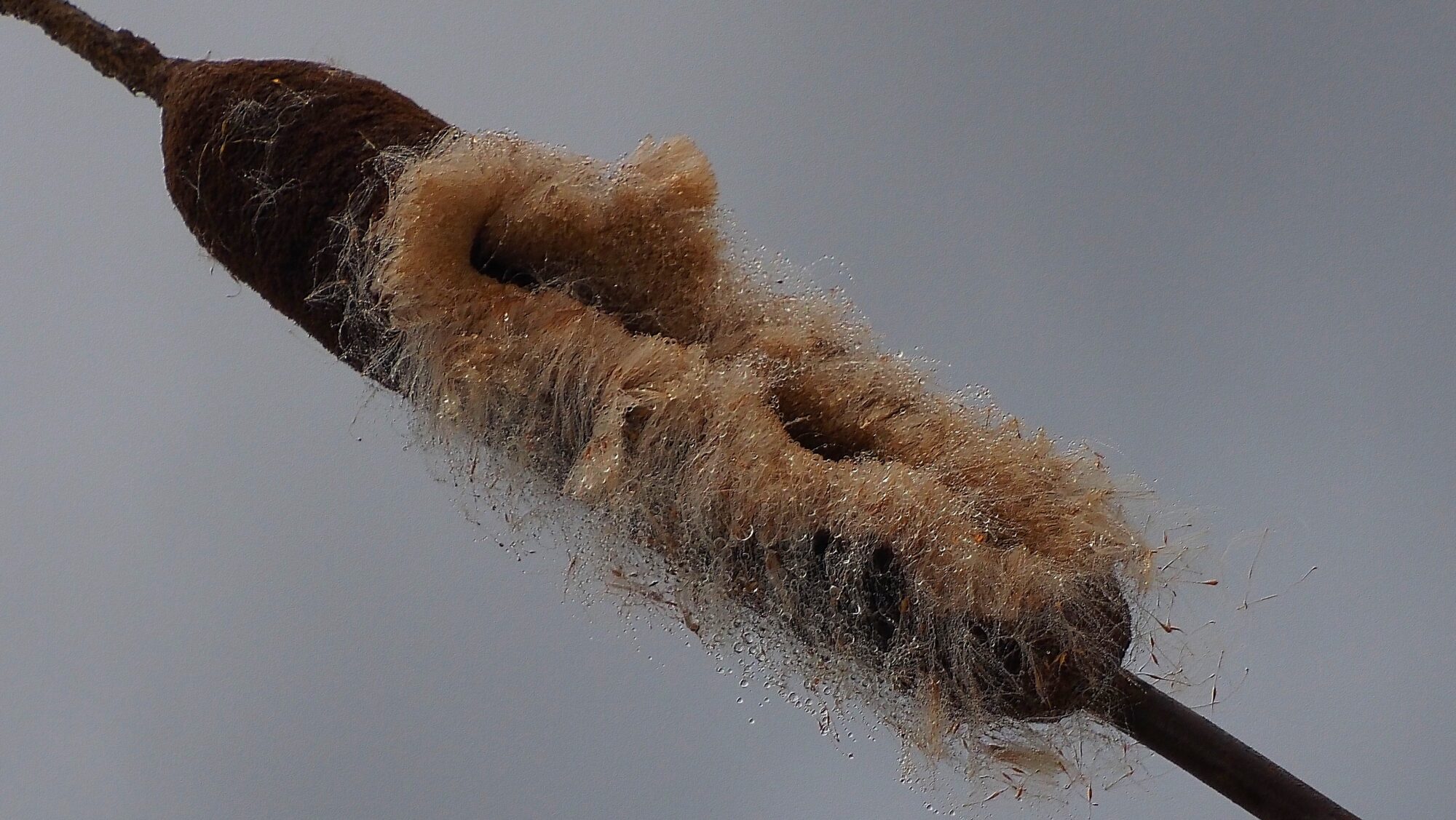 Valokuvaaja: Arja Valtonen