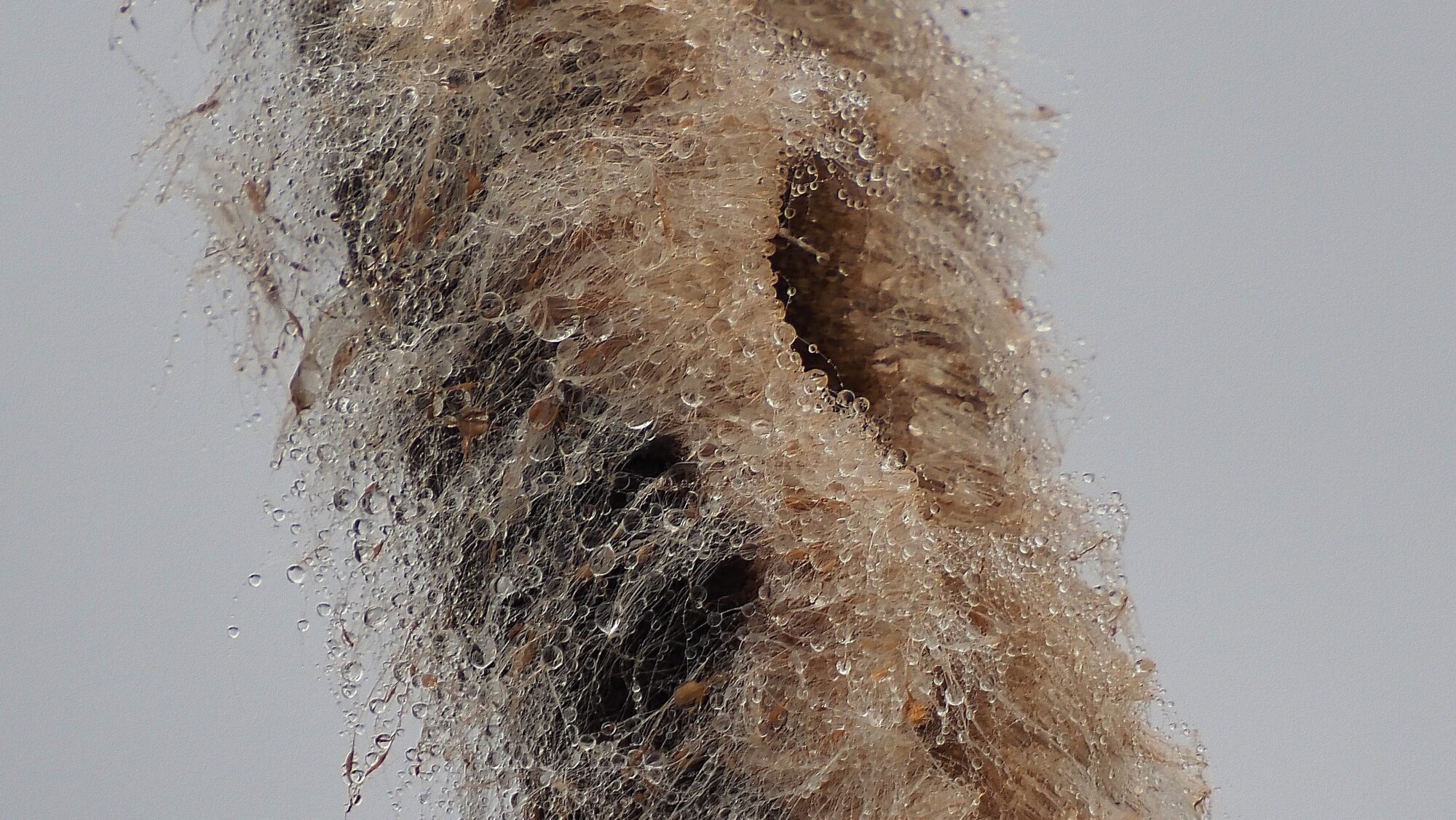 Valokuvaaja: Arja Valtonen