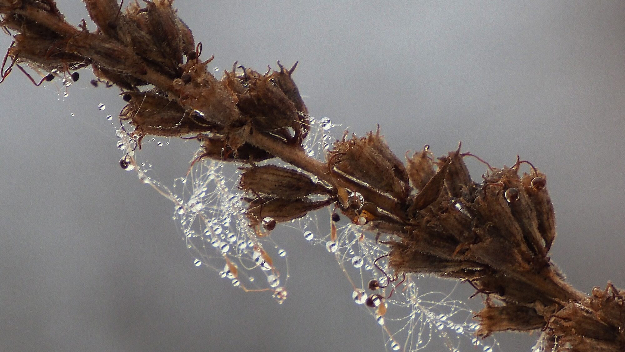 Valokuvaaja: Arja Valtonen