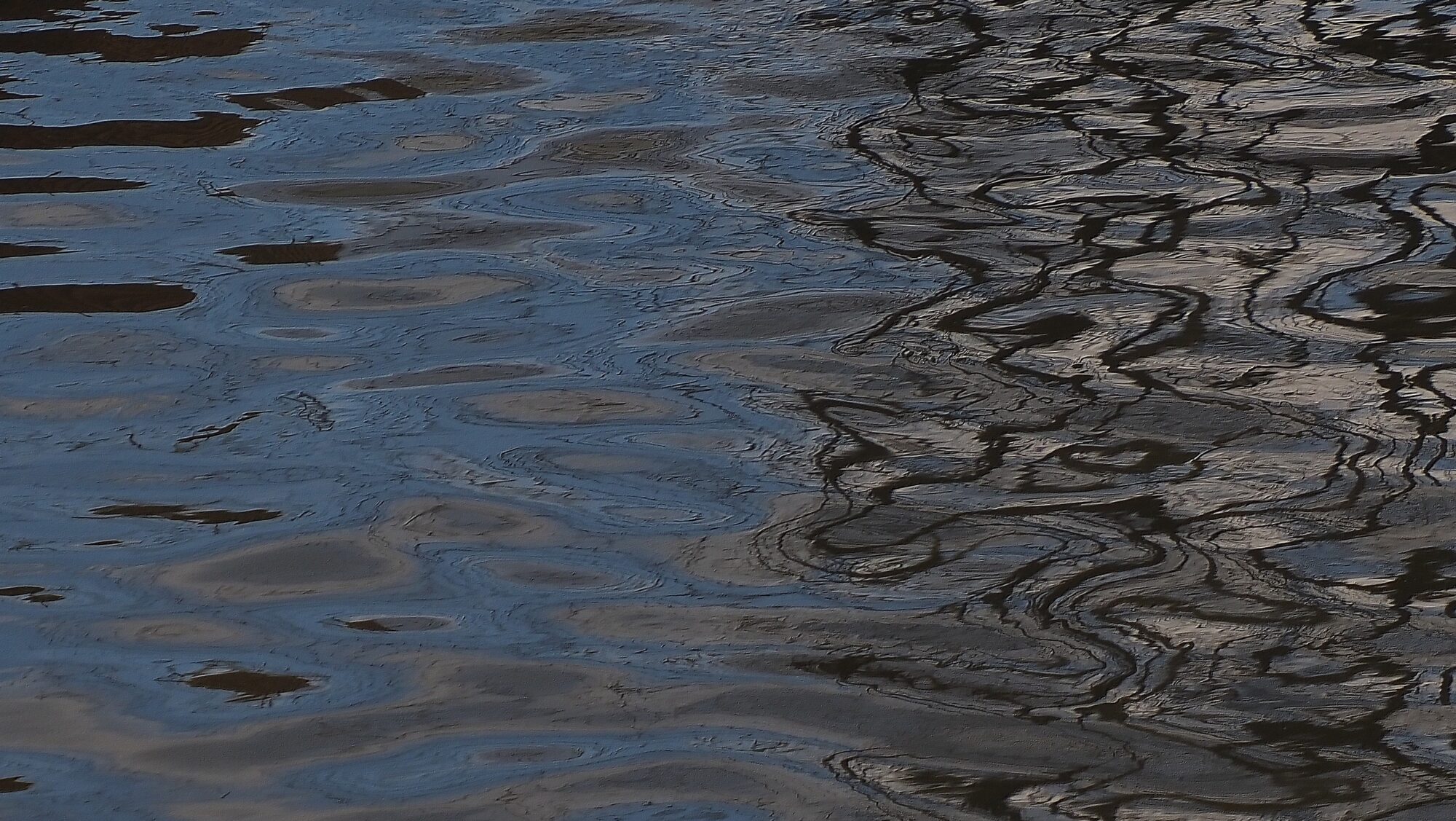 Valokuvaaja: Arja Valtonen