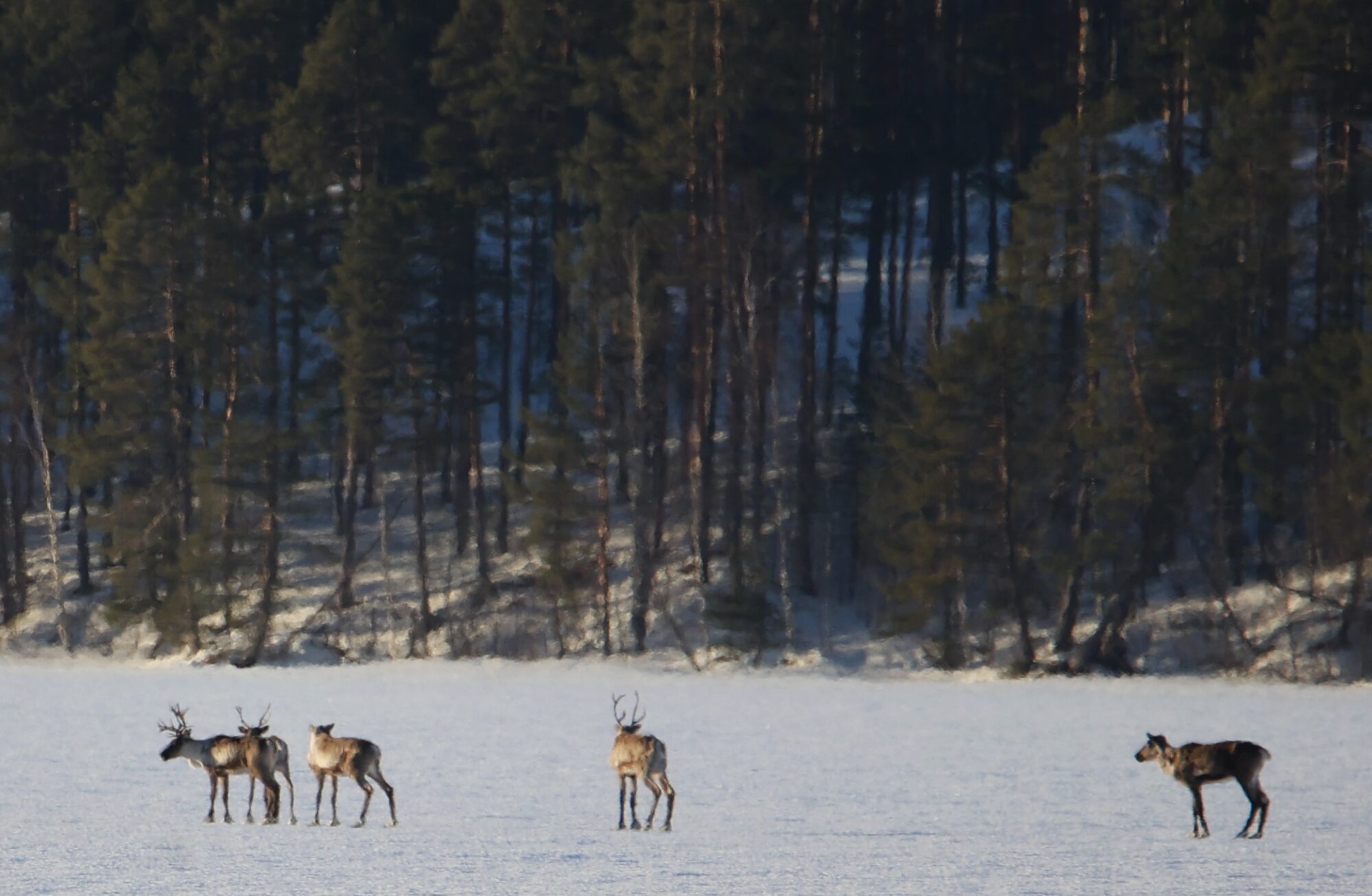 Valokuvaaja: Kaarina Heiskanen