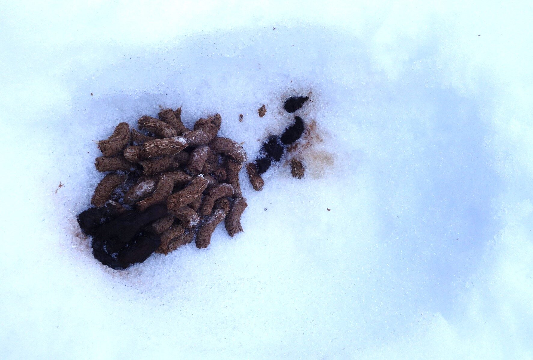 Valokuvaaja: Kaarina Heiskanen