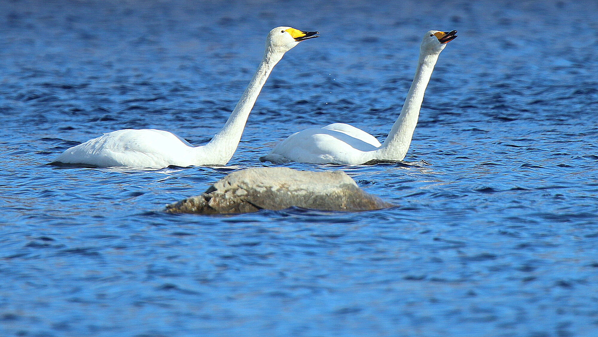 Valokuvaaja: sirpa Jyske