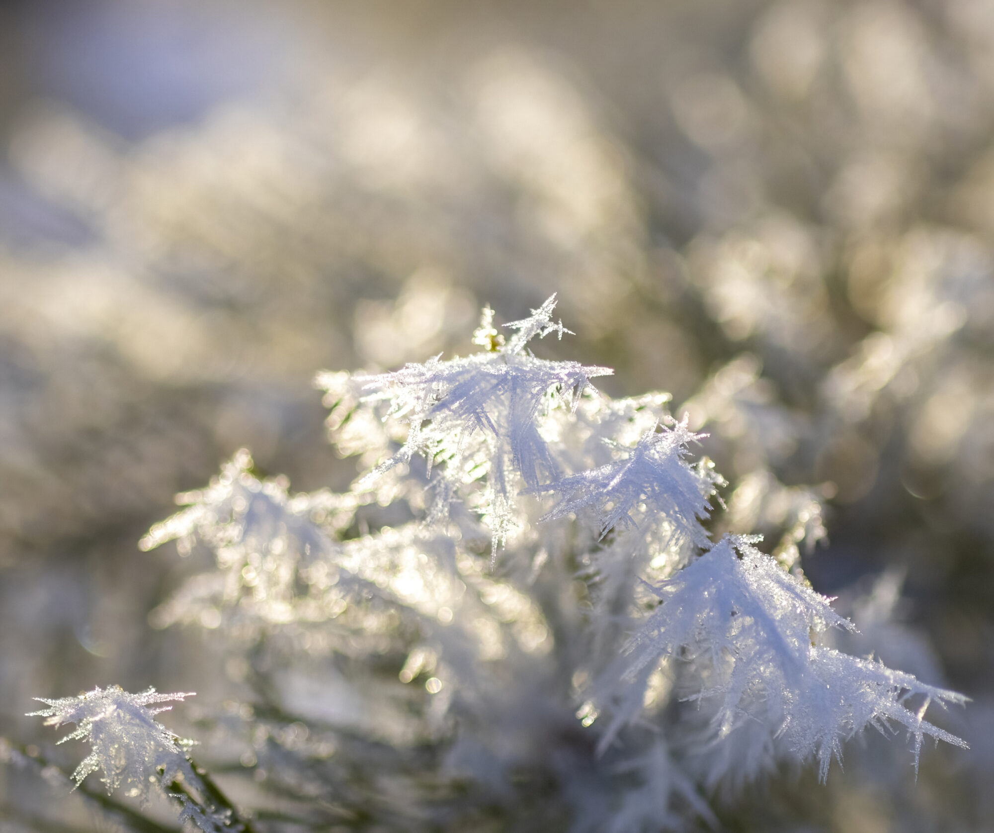 Valokuvaaja: Hannu Tikkanen Valokuvaaja: Hannu Tikkanen