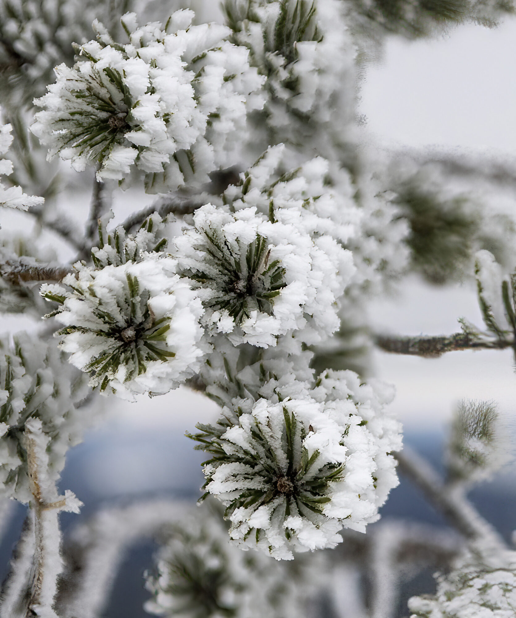 Valokuvaaja: Hannu Tikkanen
