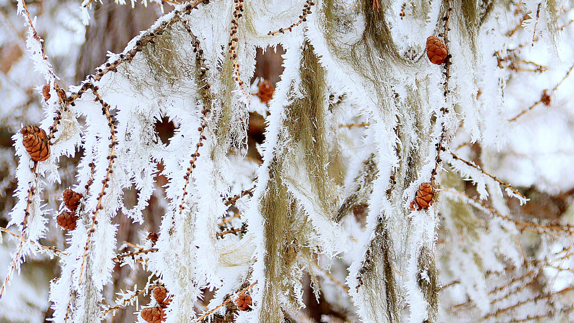 Valokuvaaja: sirpa Jyske