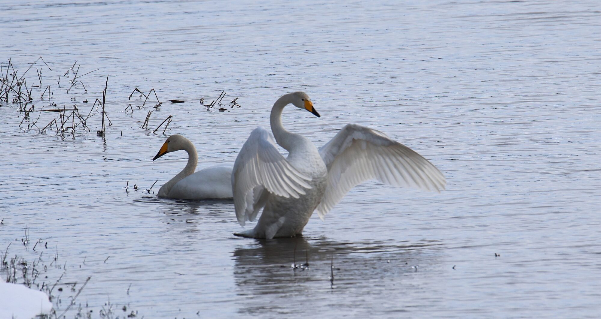 Valokuvaaja: Jaana Saarelainen
