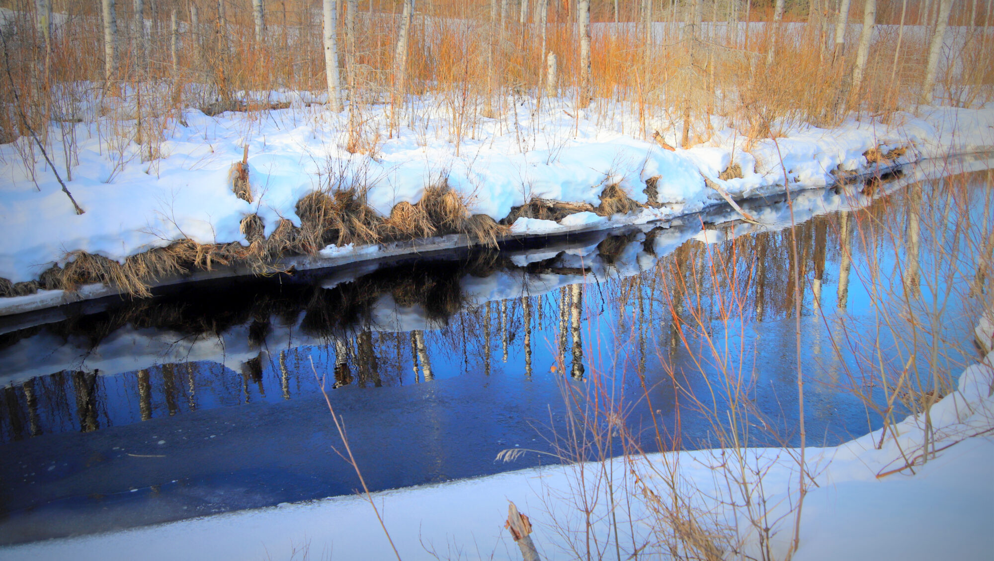Valokuvaaja: sirpa Jyske