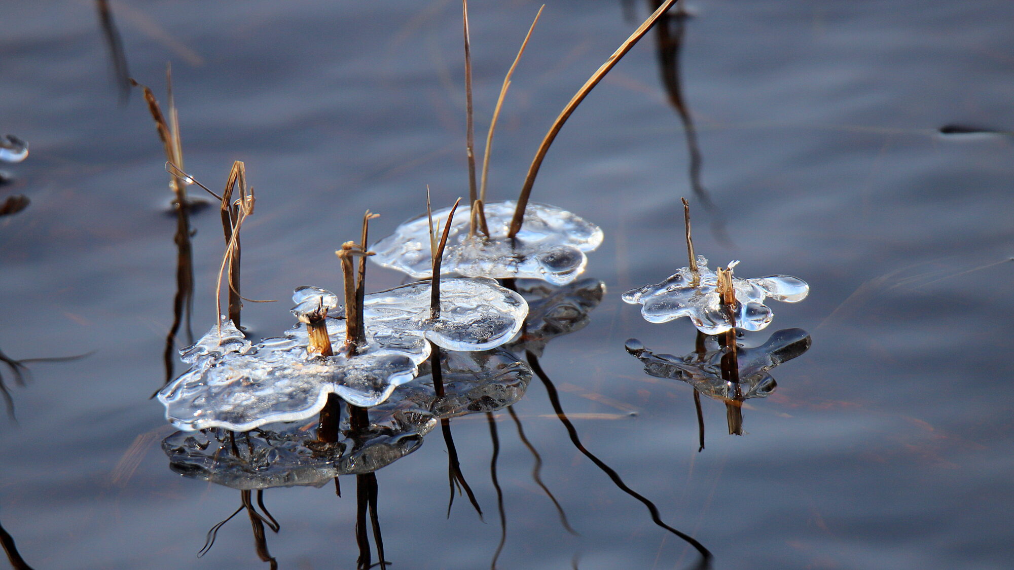 Valokuvaaja: sirpa Jyske