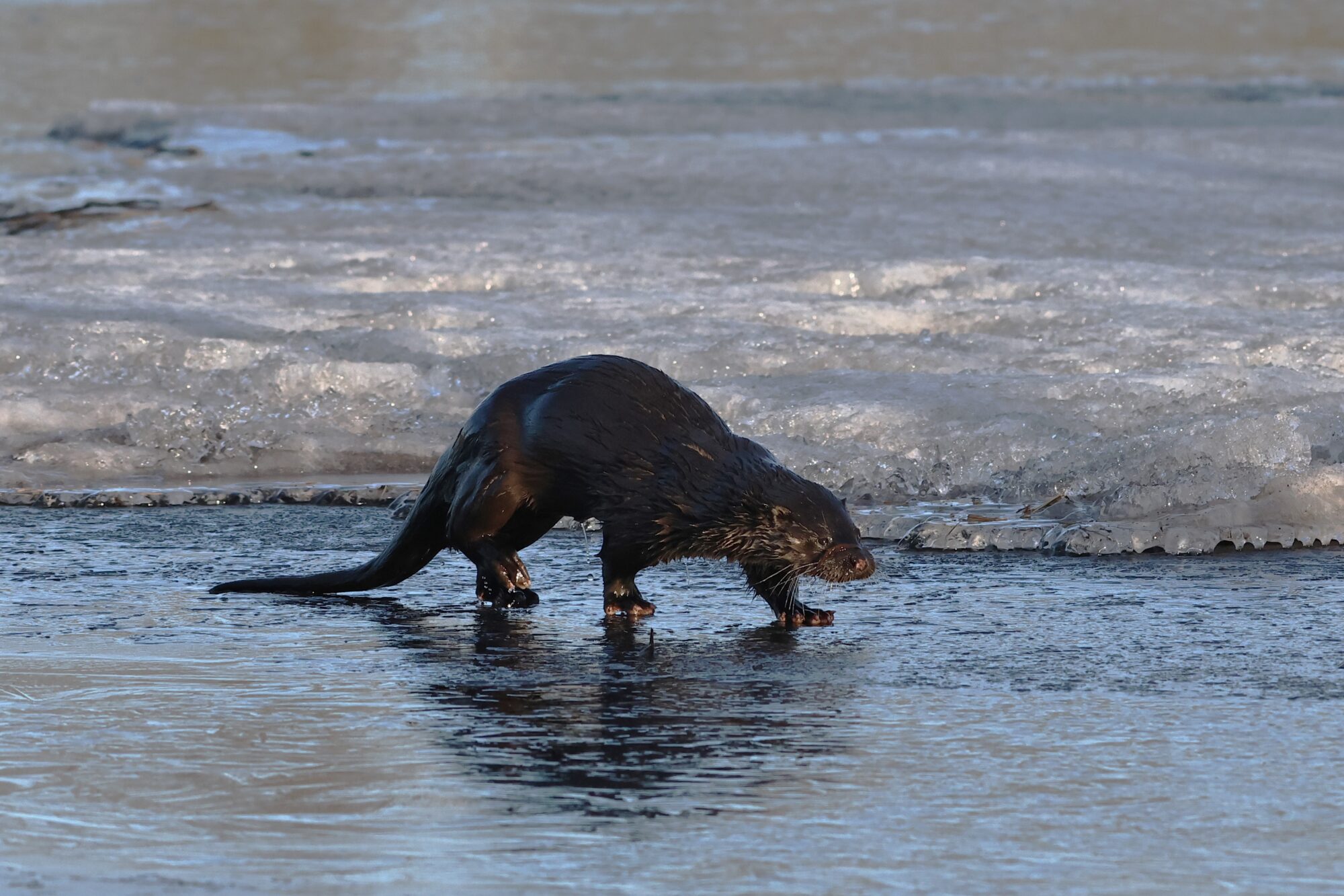 Valokuvaaja: Juho Järvimäki