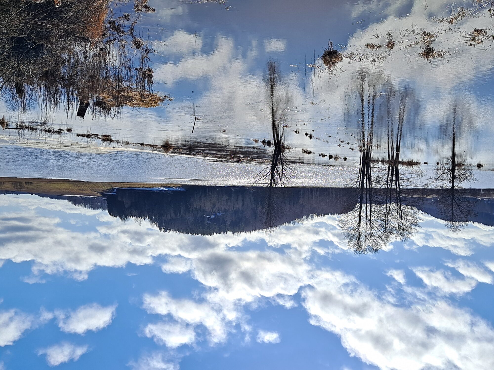 Valokuvaaja: Satu Suuntala