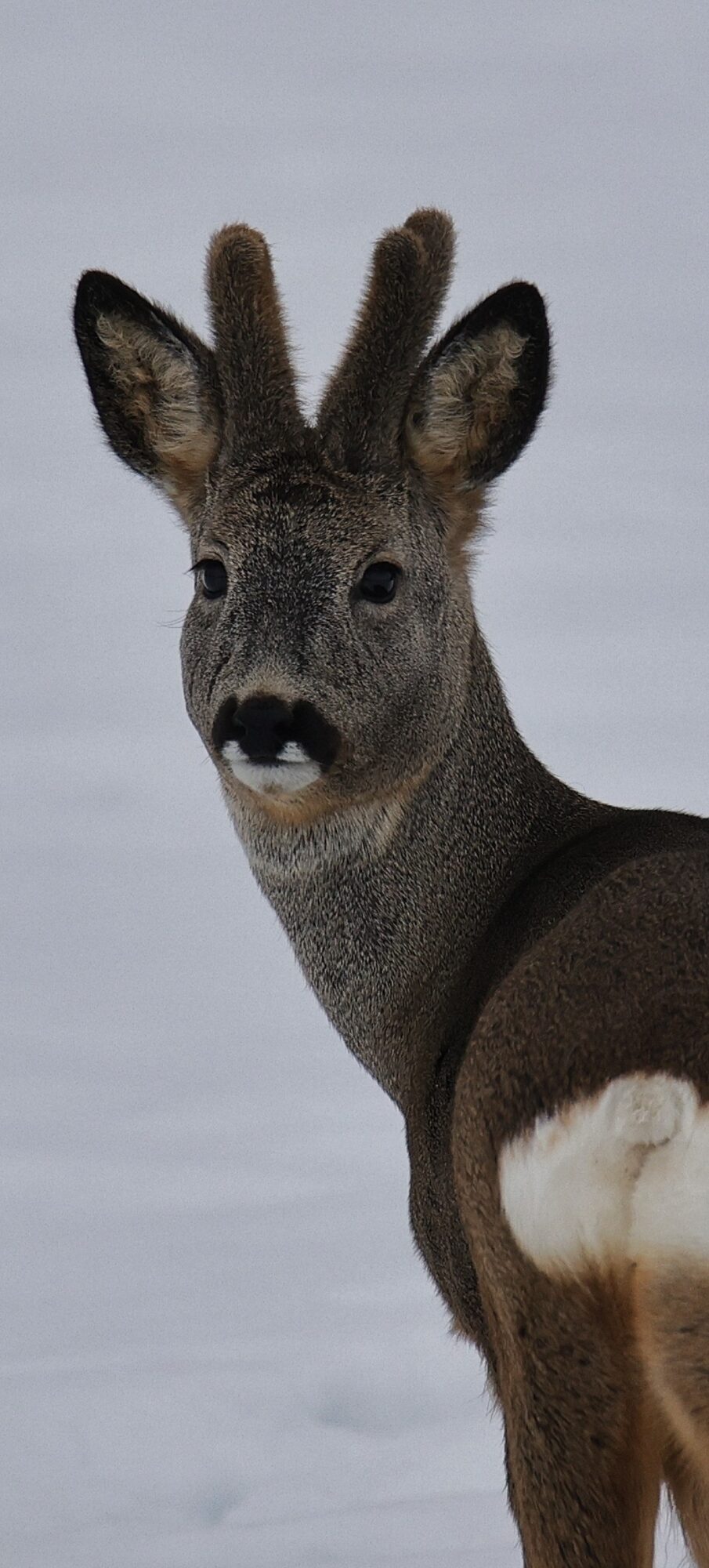 Valokuvaaja: Timo Lappalainen