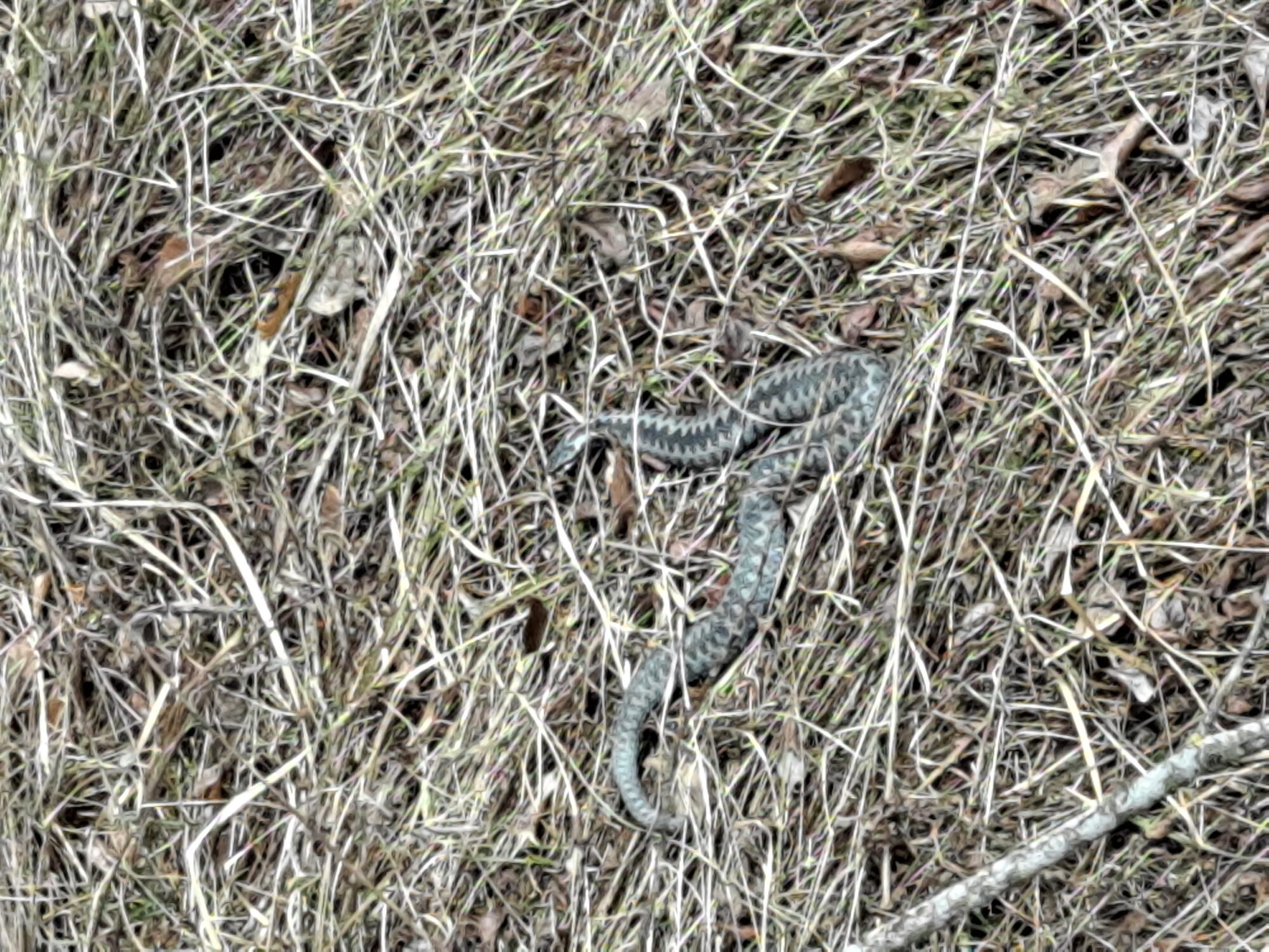 Valokuvaaja: Satu Suuntala Valokuvaaja: Satu Suuntala