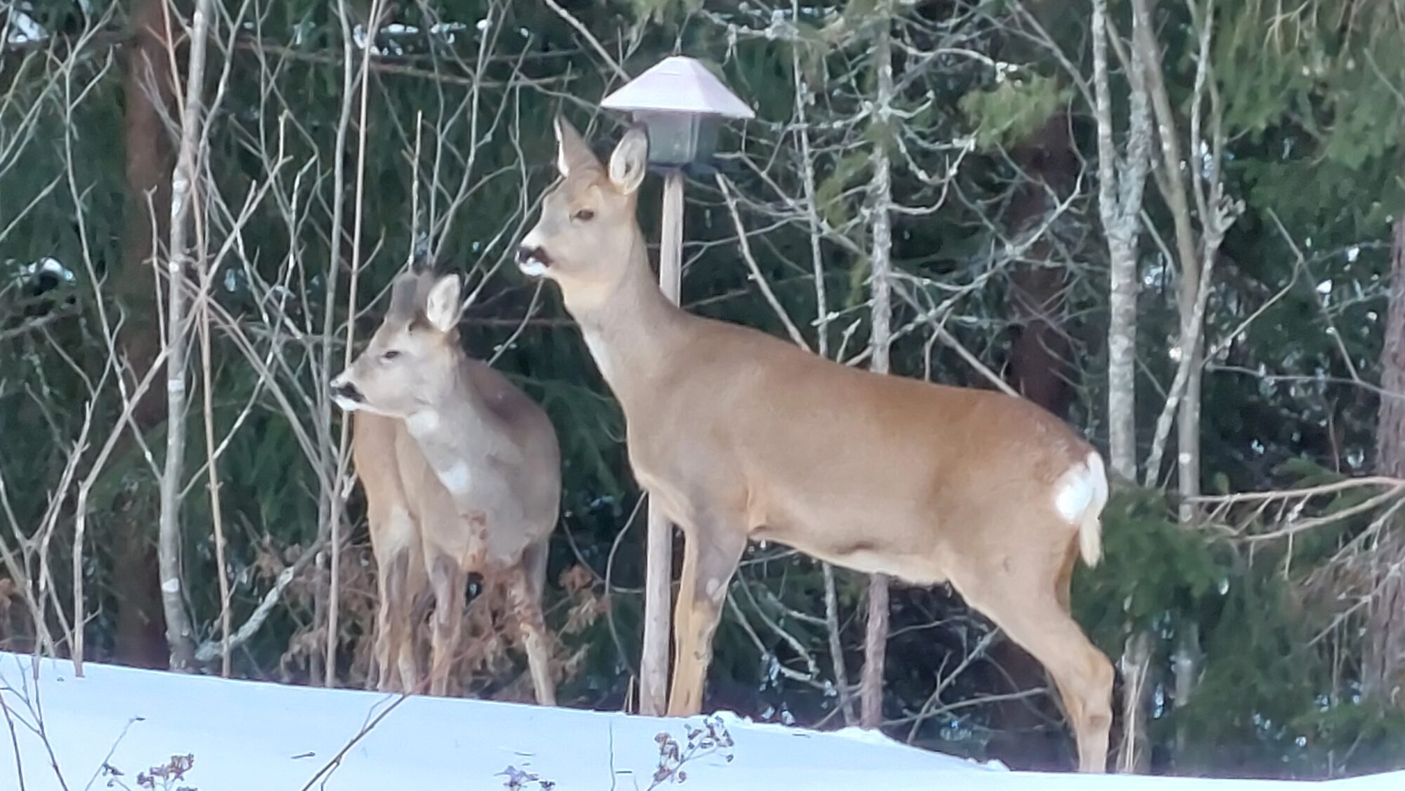 Valokuvaaja: Tarja Naukkarinen