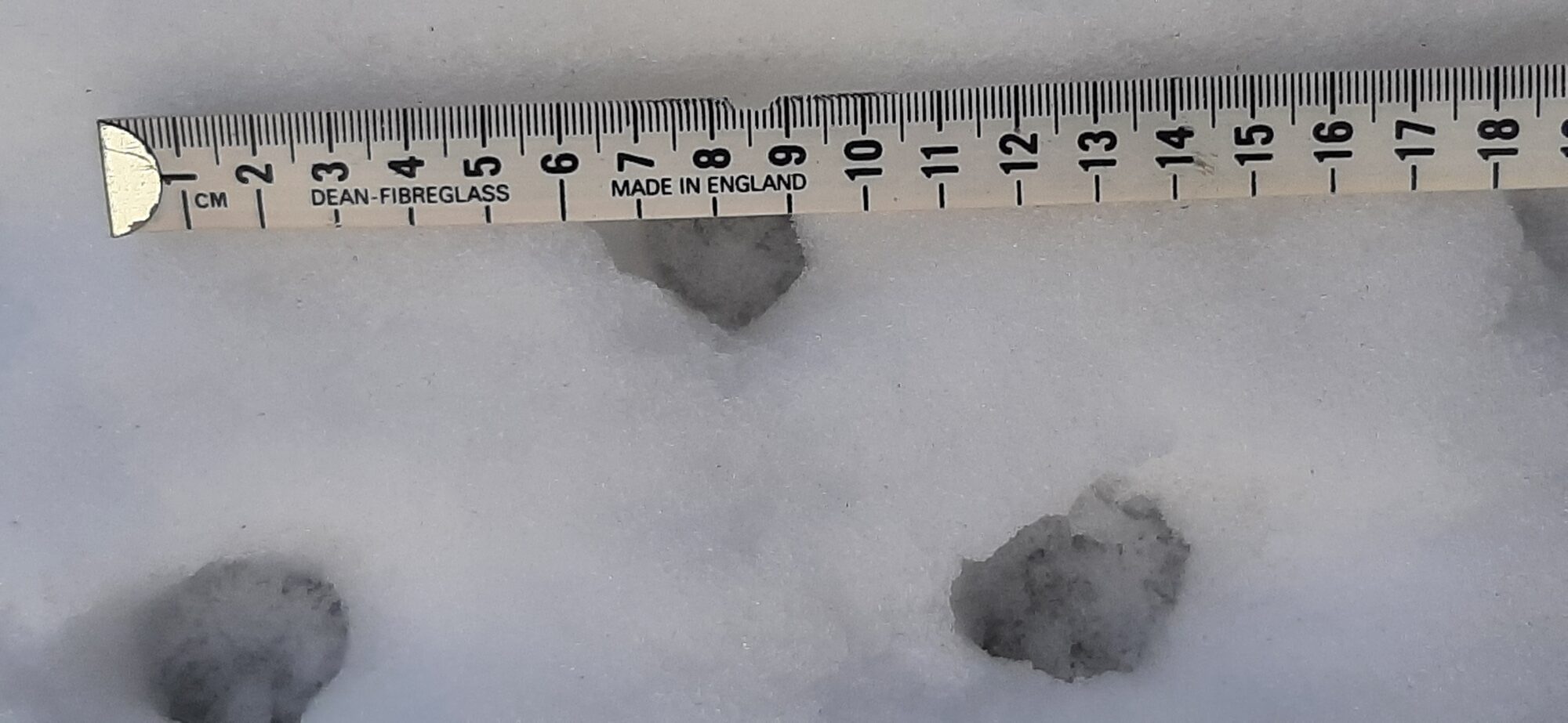 Valokuvaaja: Lea Kaukonen