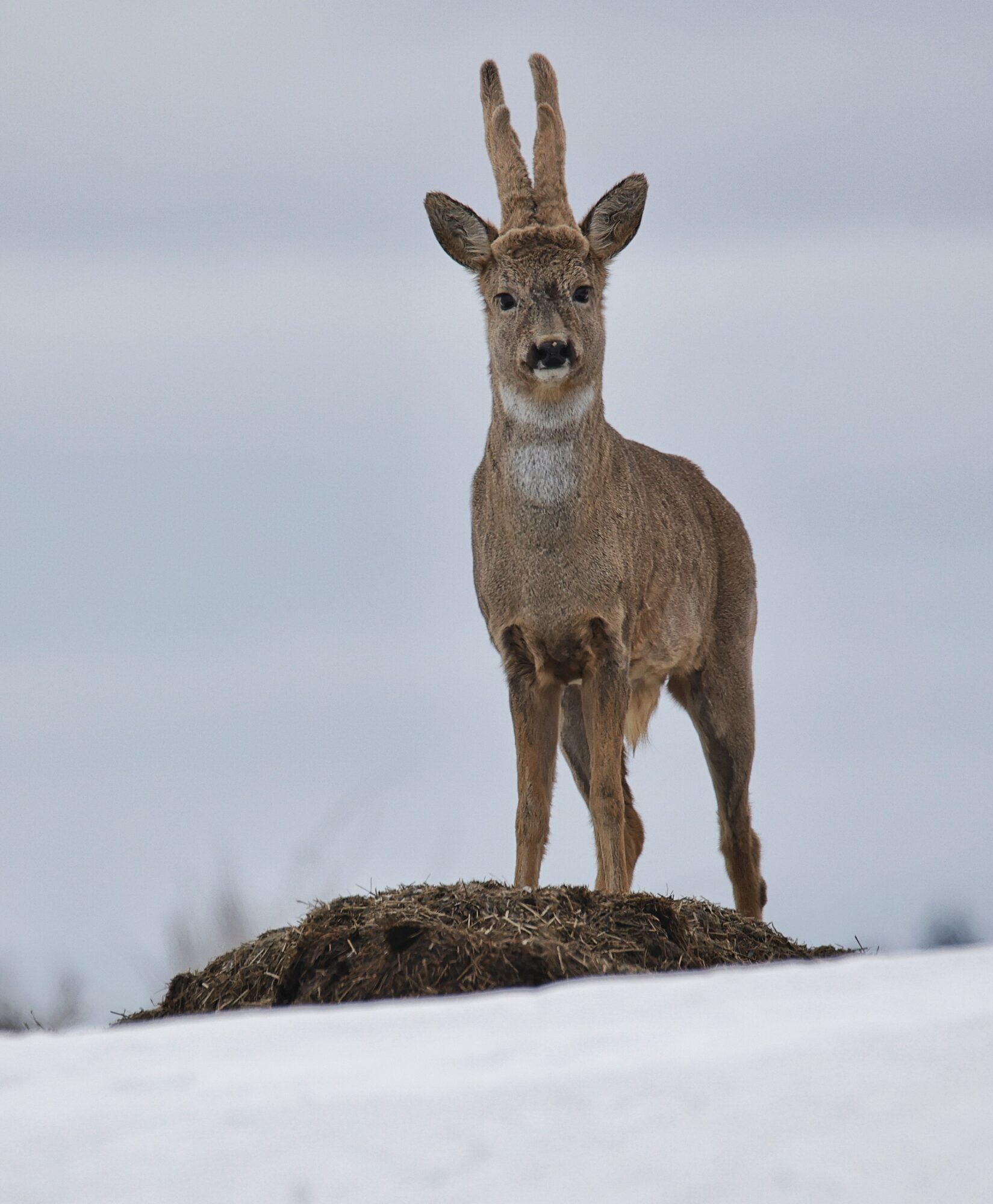 Valokuvaaja: Timo Lappalainen