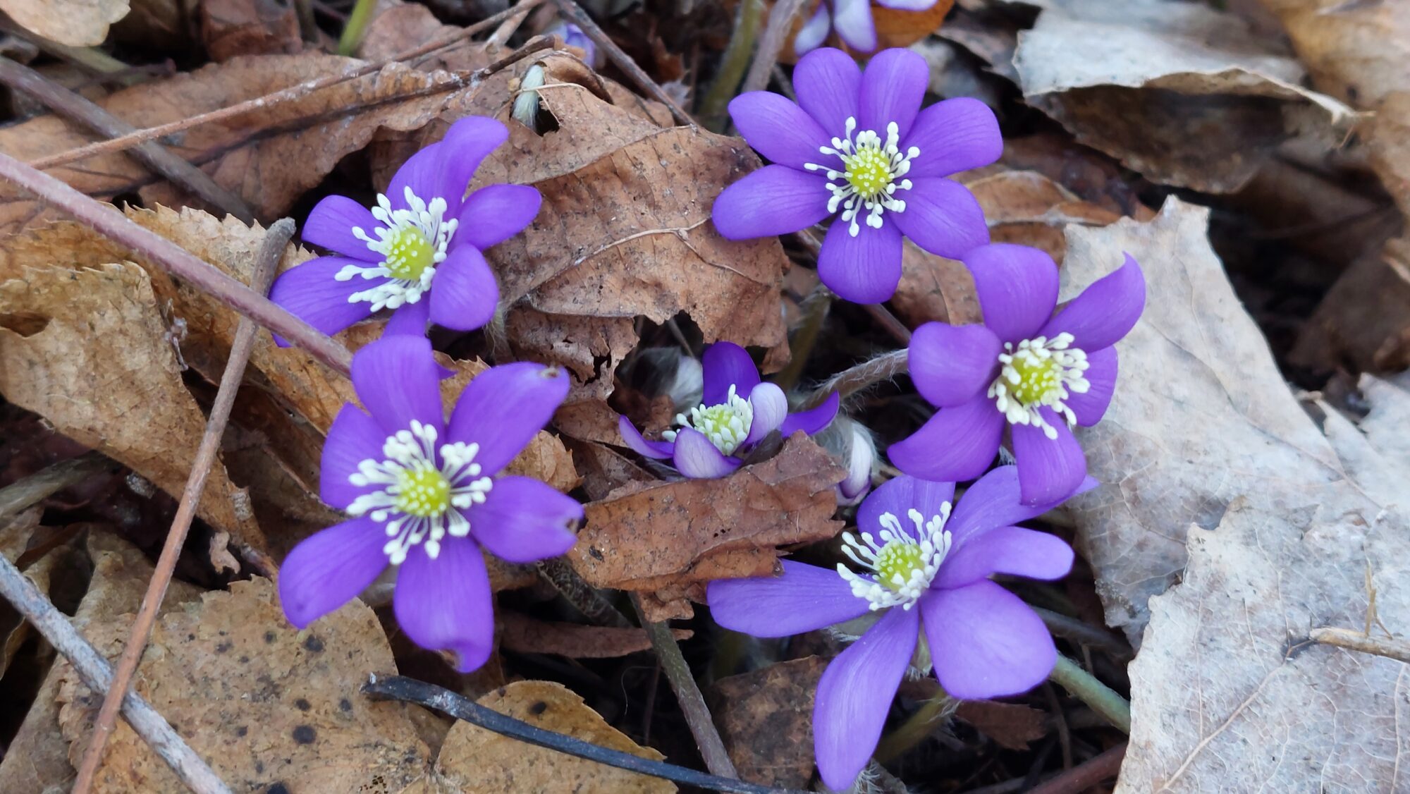 Valokuvaaja: Tarja Naukkarinen Valokuvaaja: Tarja Naukkarinen