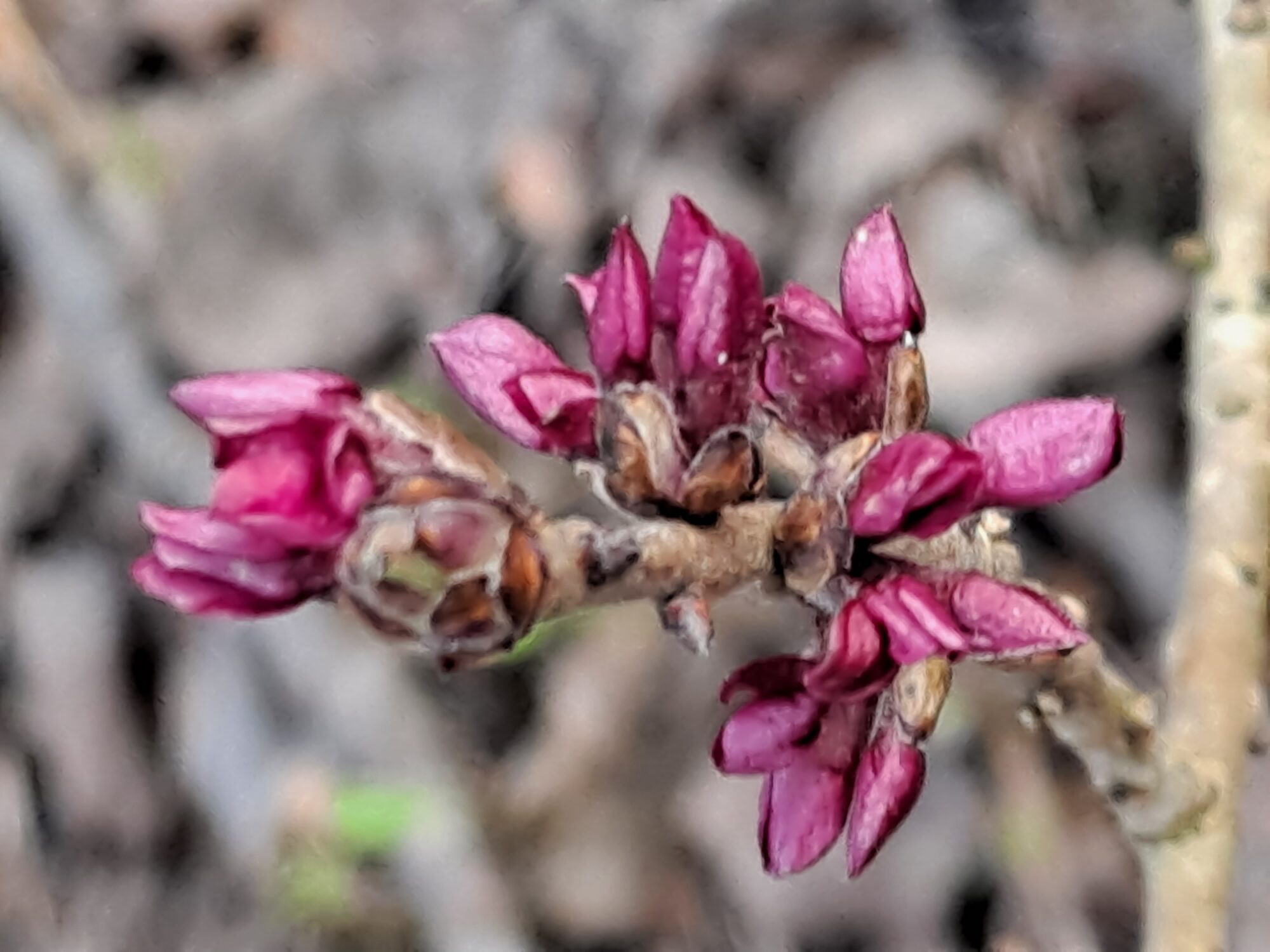 Valokuvaaja: Satu Suuntala