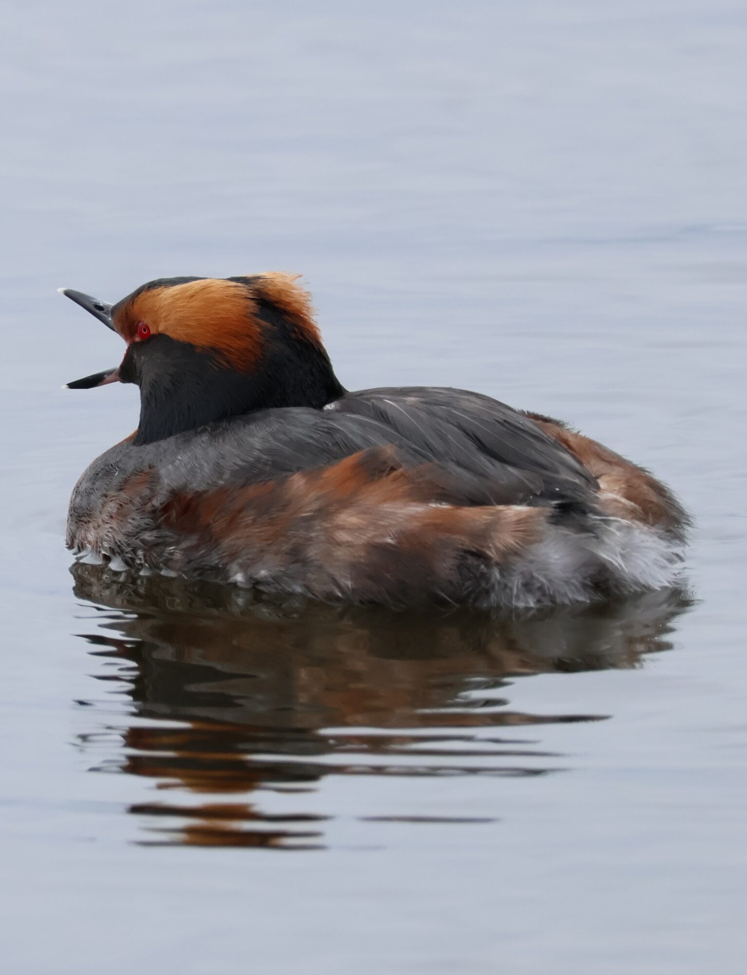 Valokuvaaja: Hanna Rönty