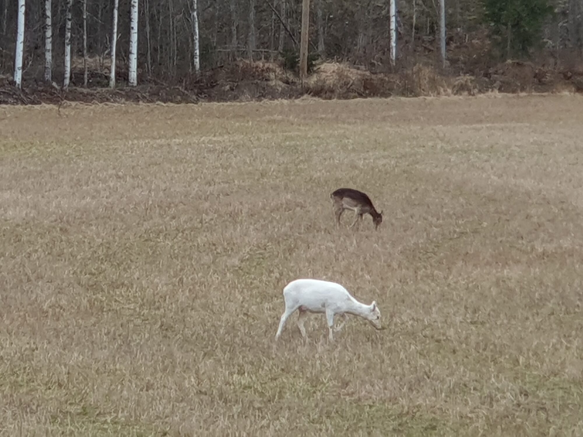 Valokuvaaja: Sari Kiuttu Valokuvaaja: Sari Kiuttu