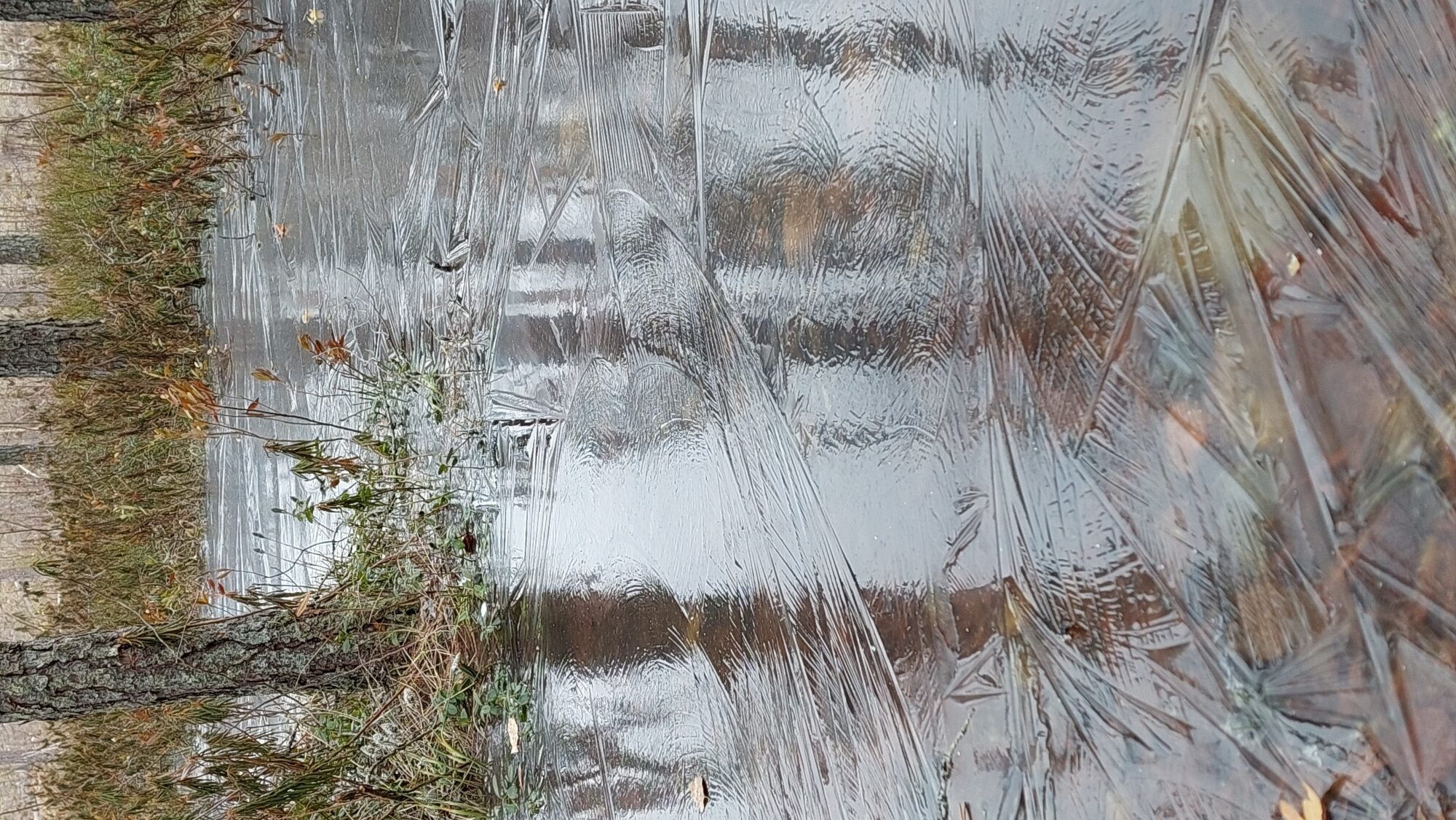 Valokuvaaja: Tarja Naukkarinen