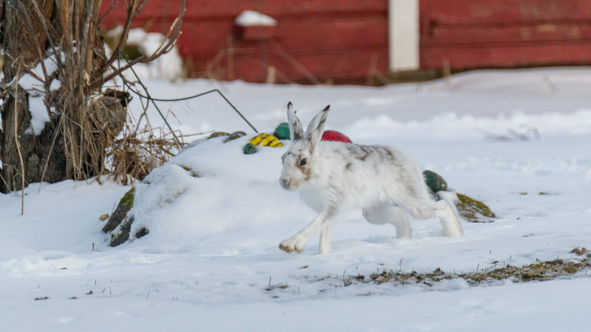 Valokuvaaja: Helena Minkkilä