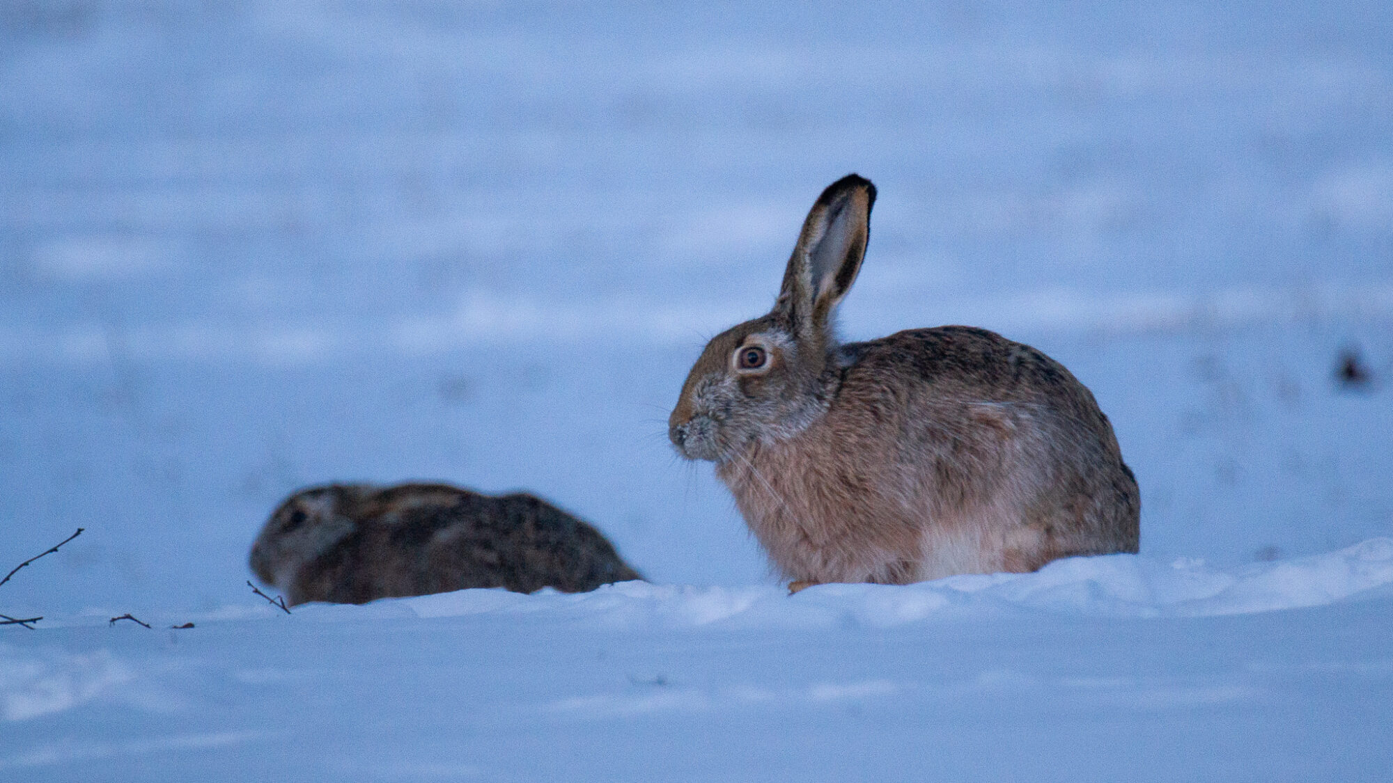 Valokuvaaja: Helena Minkkilä
