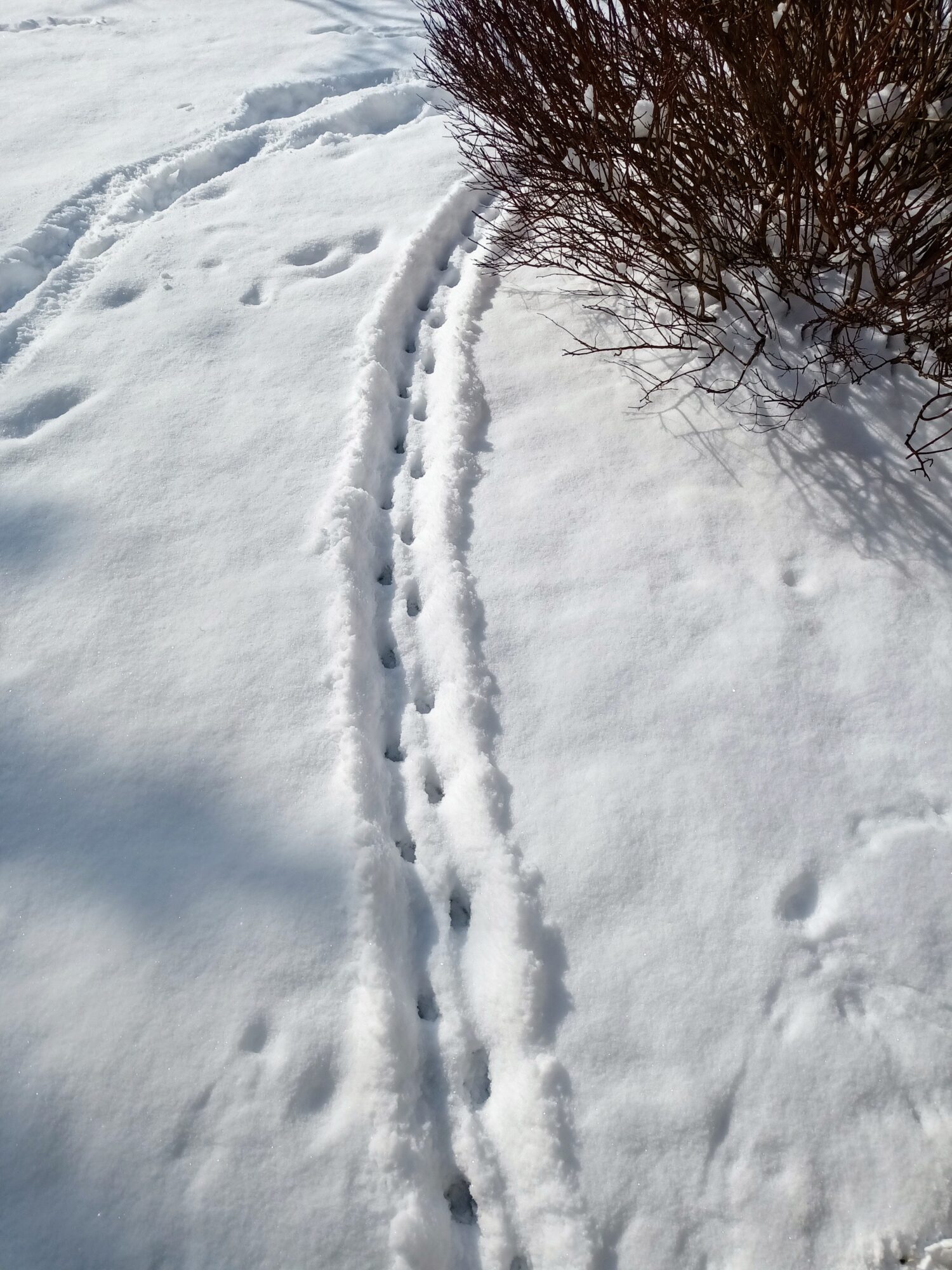 Valokuvaaja: Eija Hintikka Valokuvaaja: Eija Hintikka