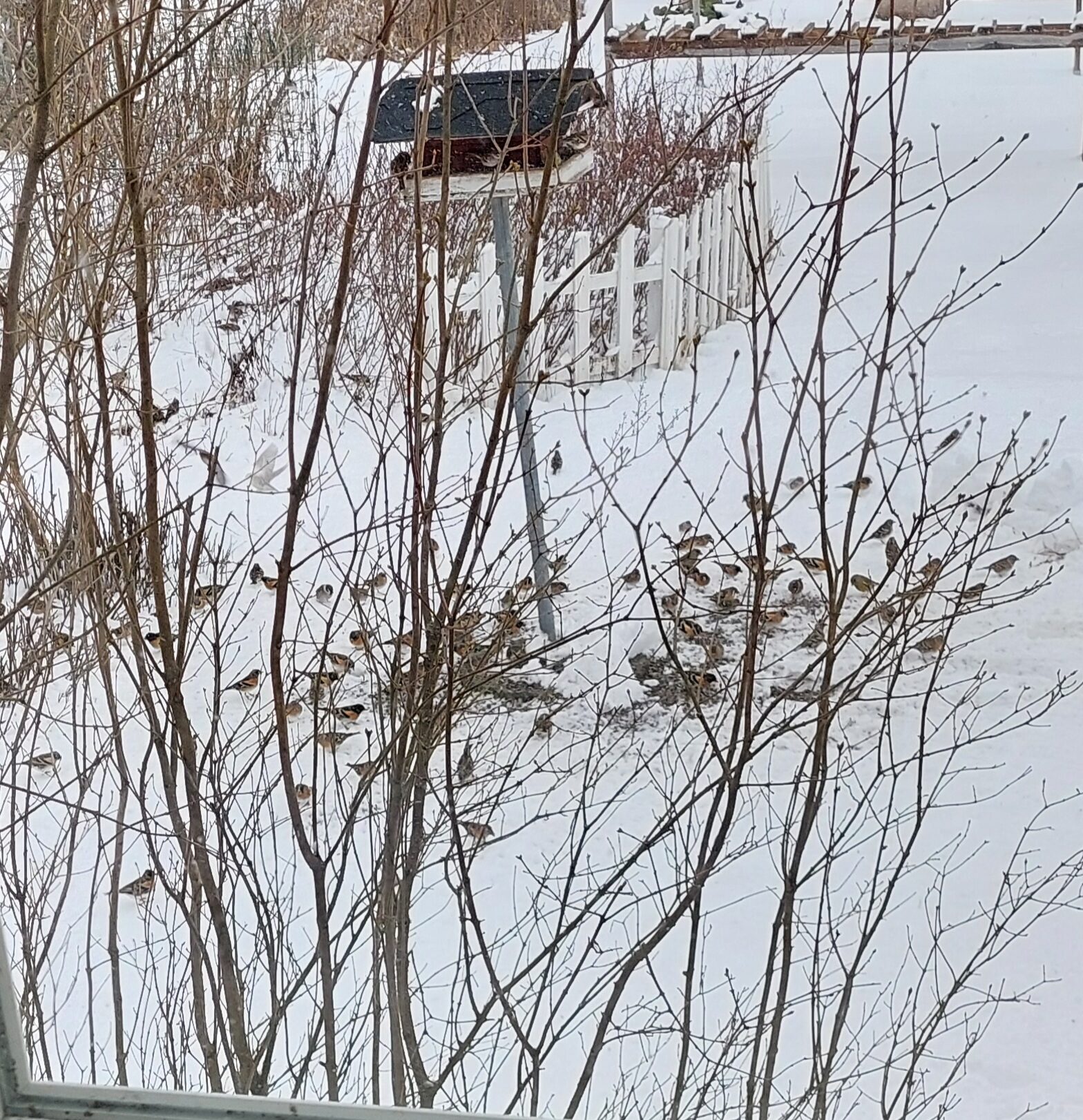 Valokuvaaja: Marja Kettunen