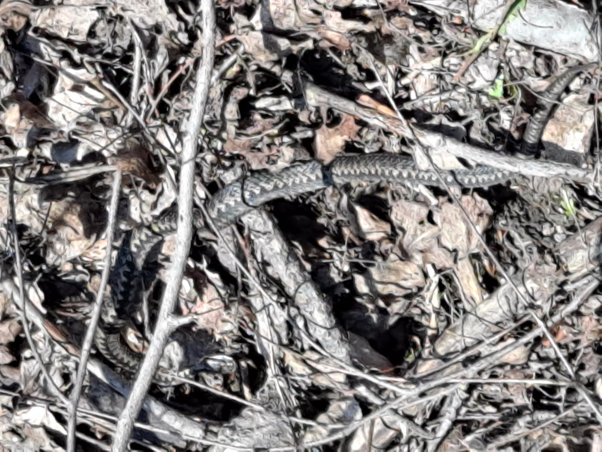 Valokuvaaja: Satu Suuntala