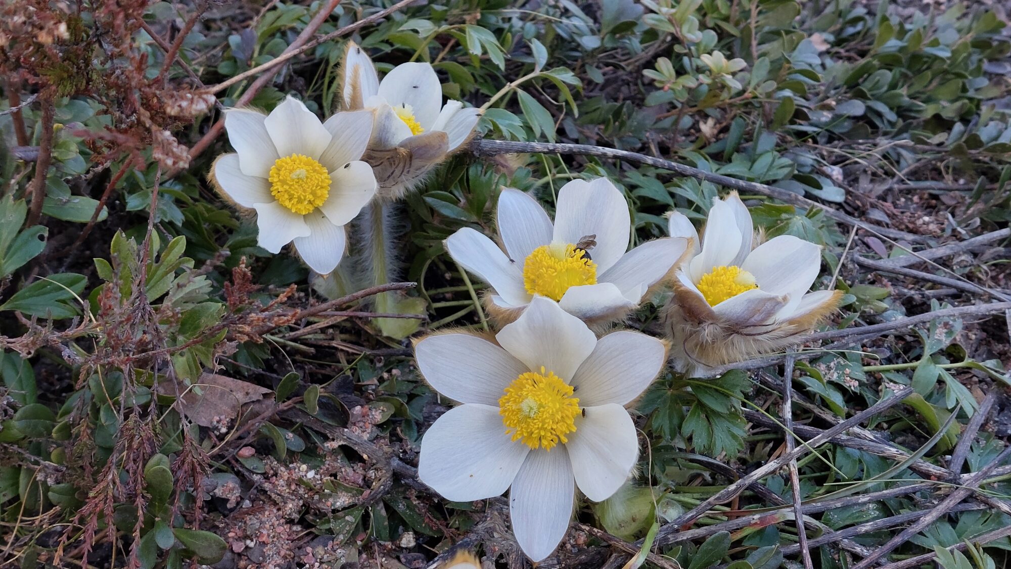 Valokuvaaja: Tarja Naukkarinen