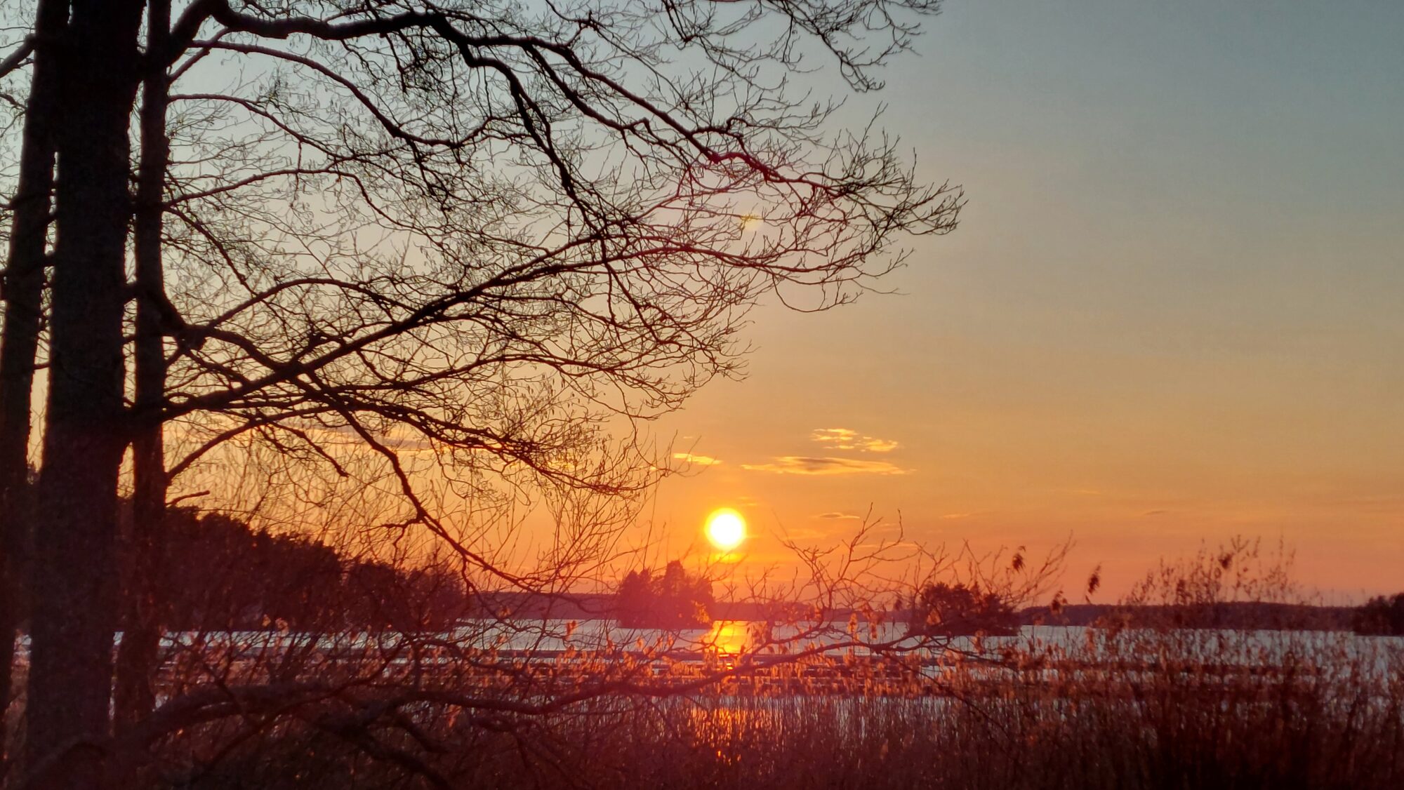 Valokuvaaja: Tarja Naukkarinen