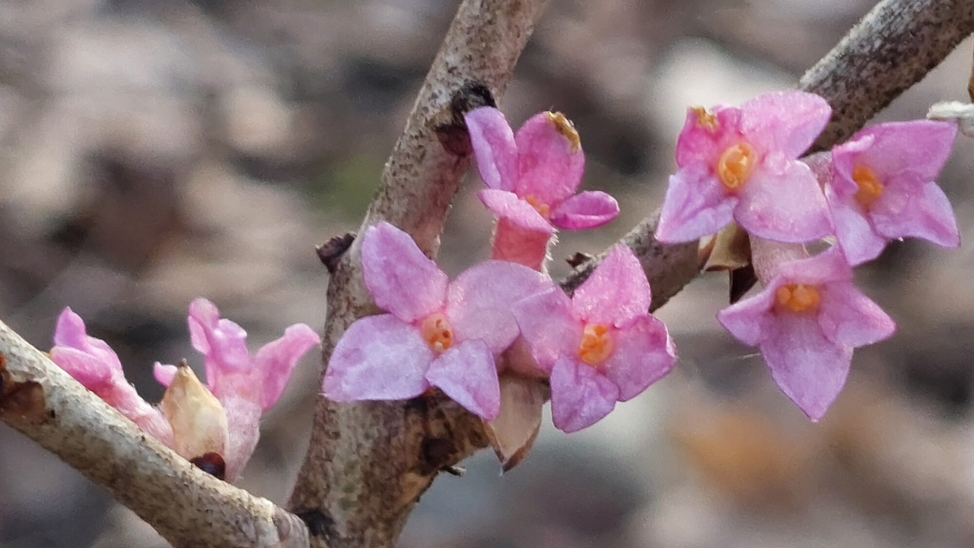 Valokuvaaja: Tarja Naukkarinen