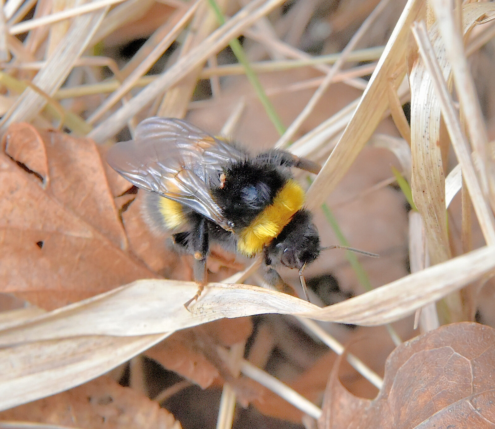 Valokuvaaja: Reijo Juurinen