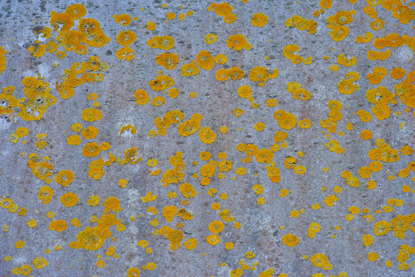 Valokuvaaja: Reijo Juurinen