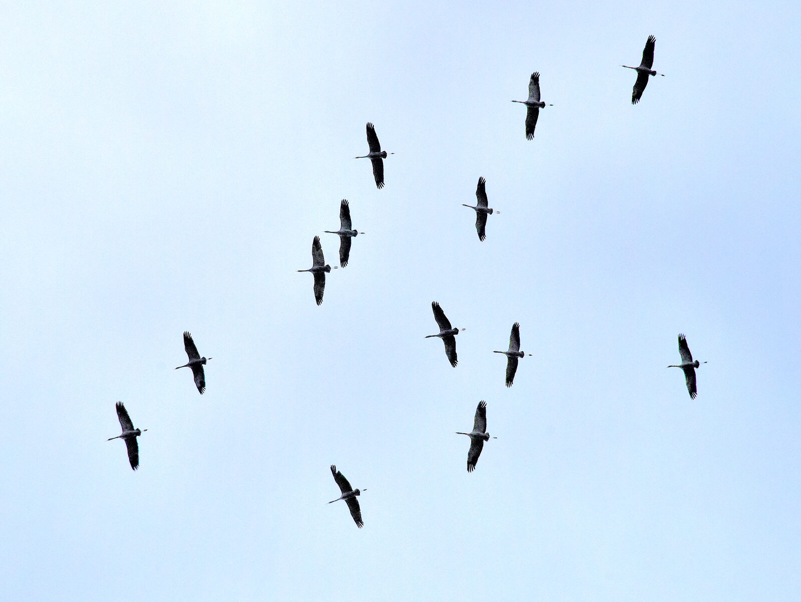 Valokuvaaja: Reijo Juurinen