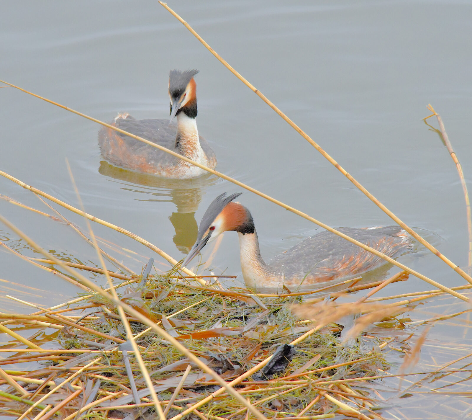 Valokuvaaja: Reijo Juurinen