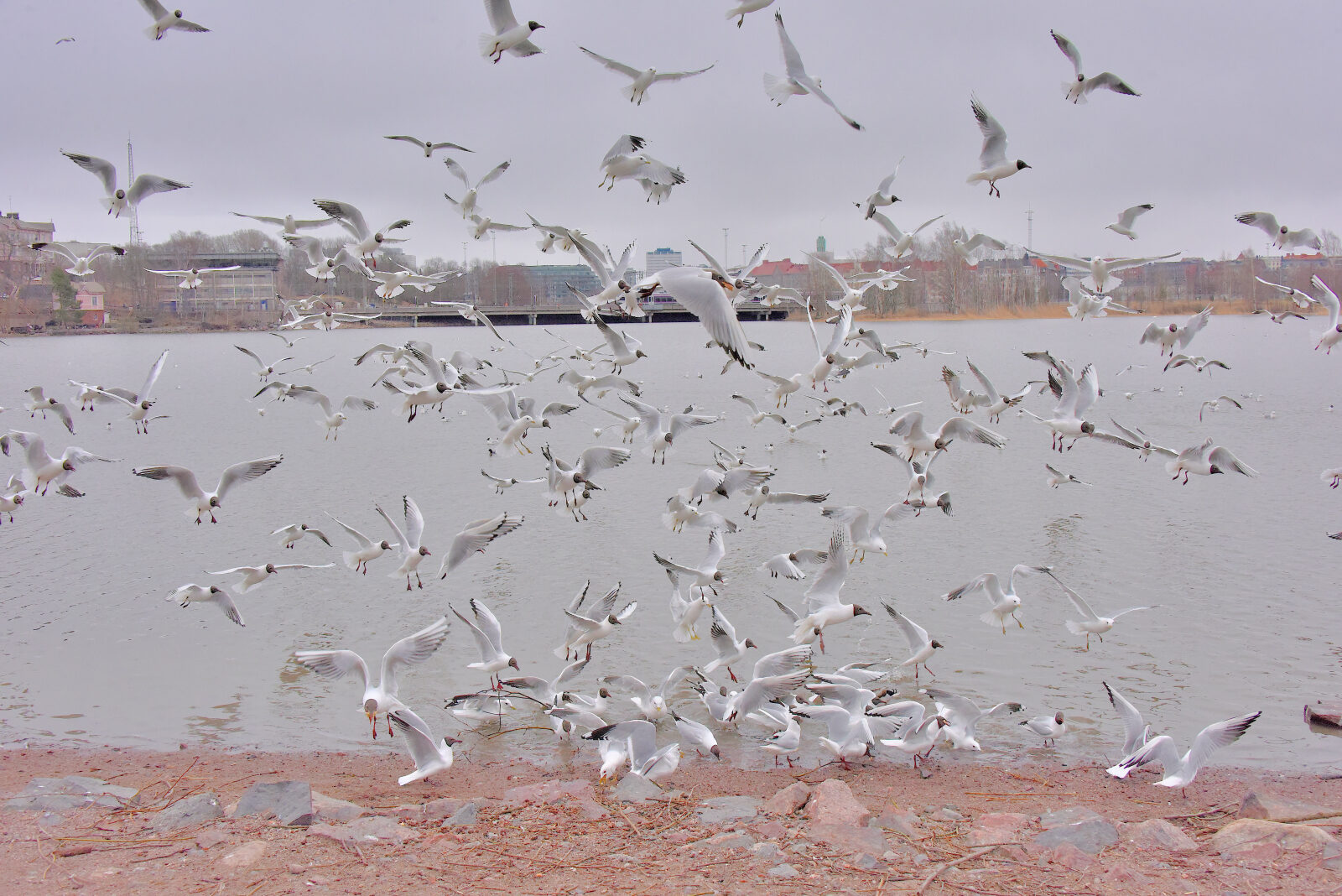Valokuvaaja: Reijo Juurinen