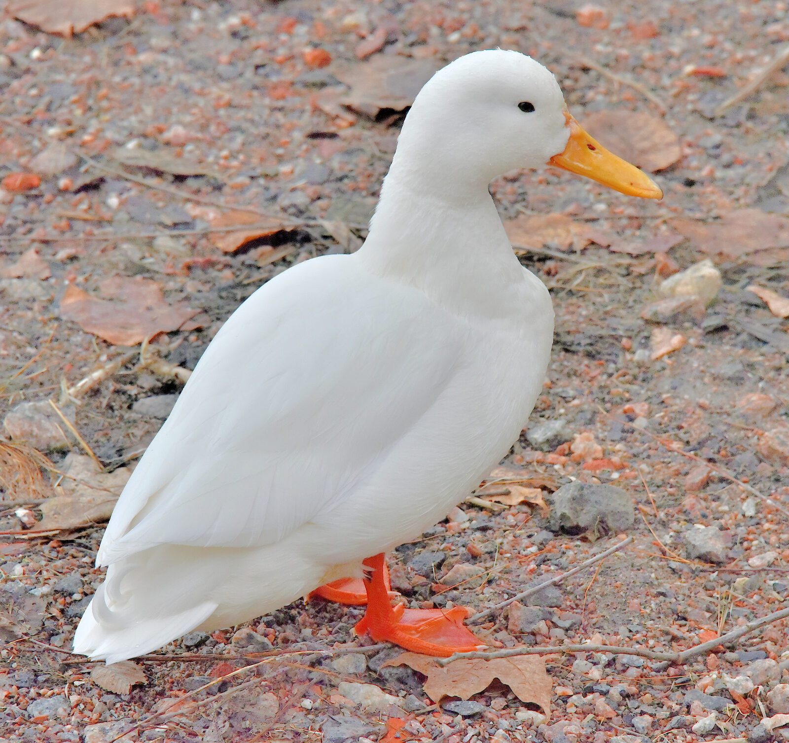 Valokuvaaja: Reijo Juurinen