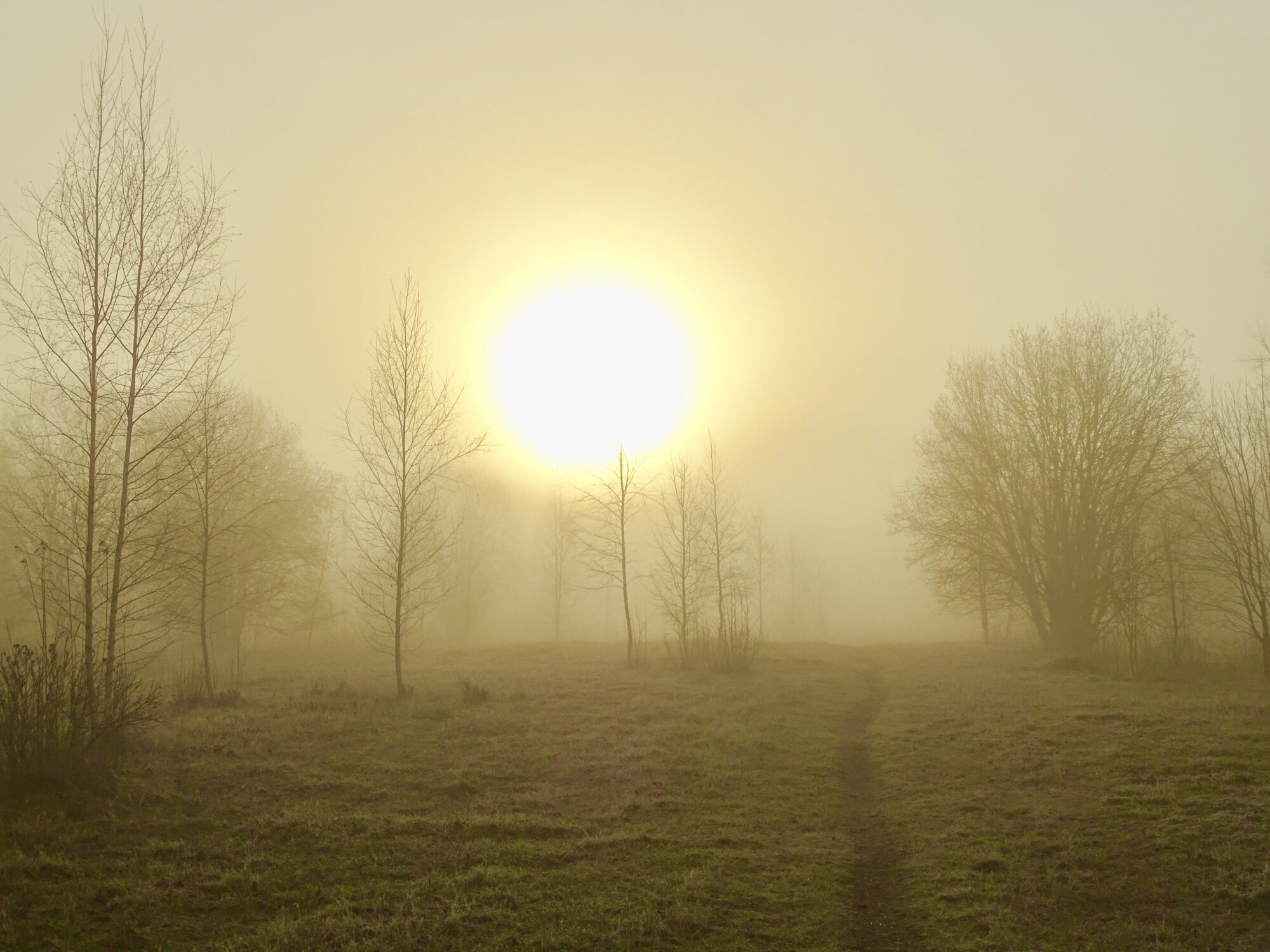 Valokuvaaja: Juhani Peltonen