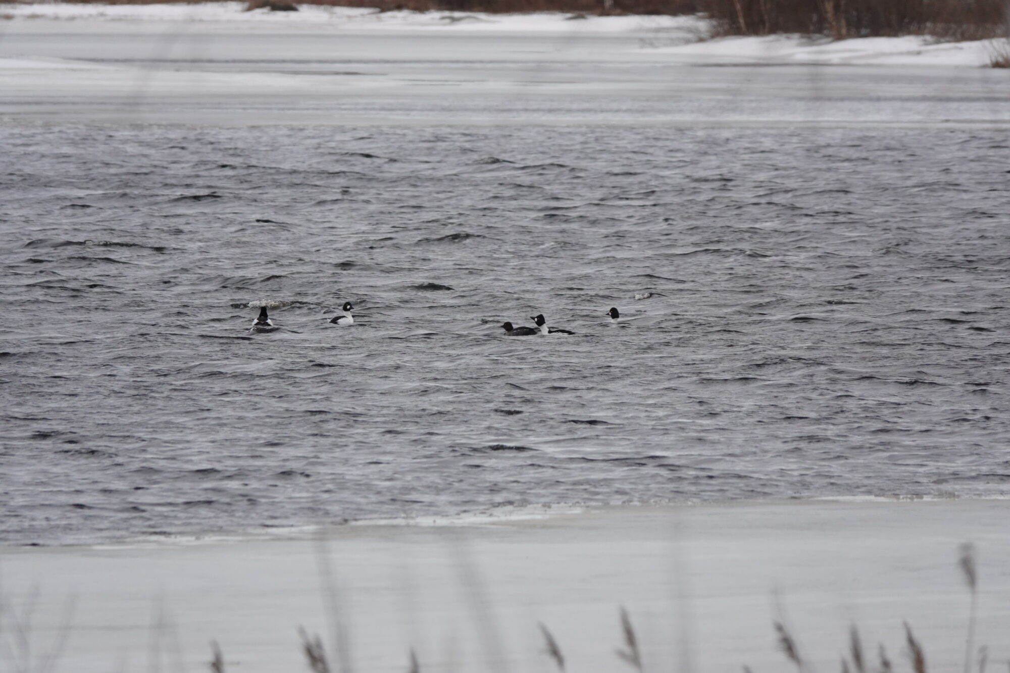 Valokuvaaja: Jenna Pitkänen