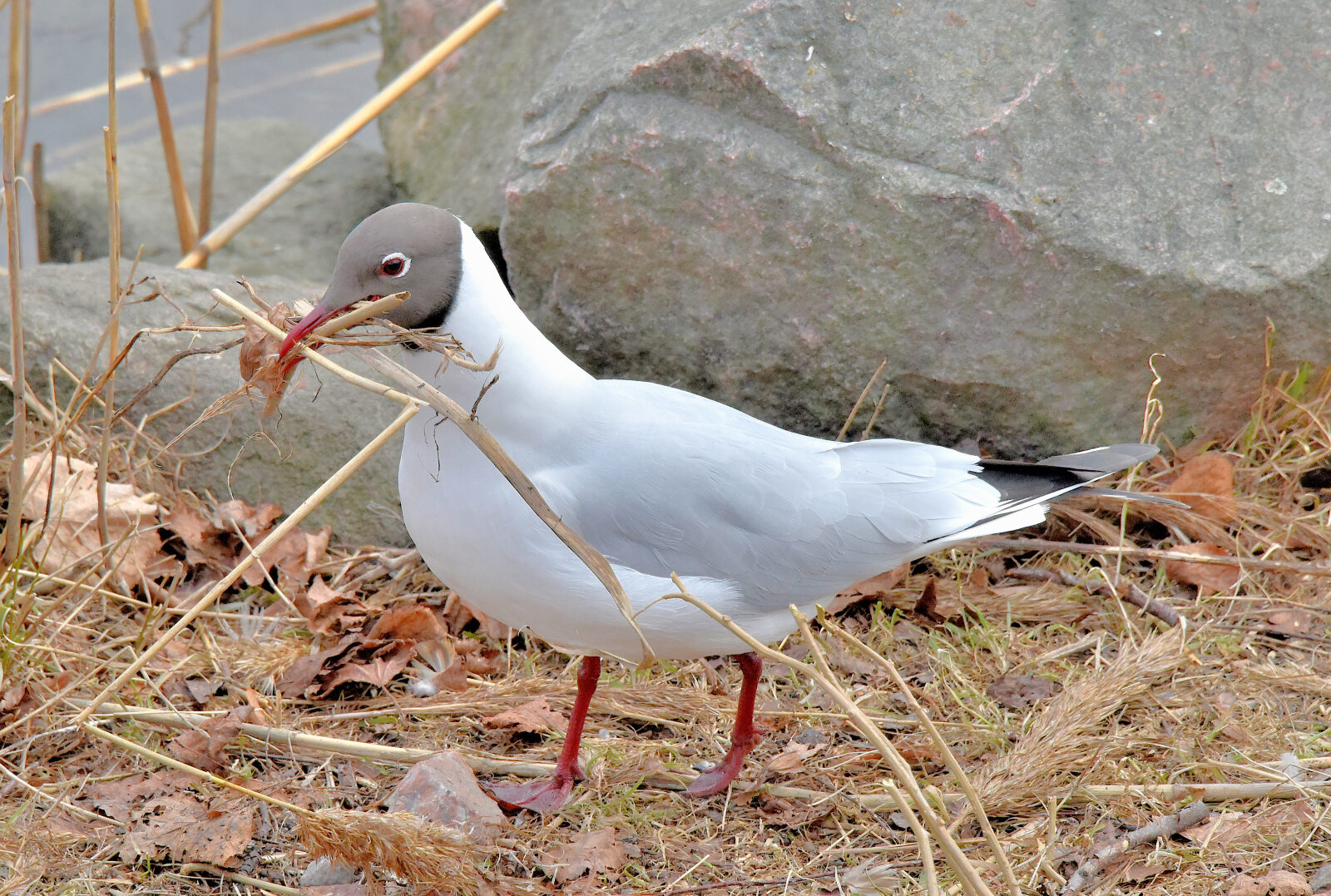 Valokuvaaja: Reijo Juurinen